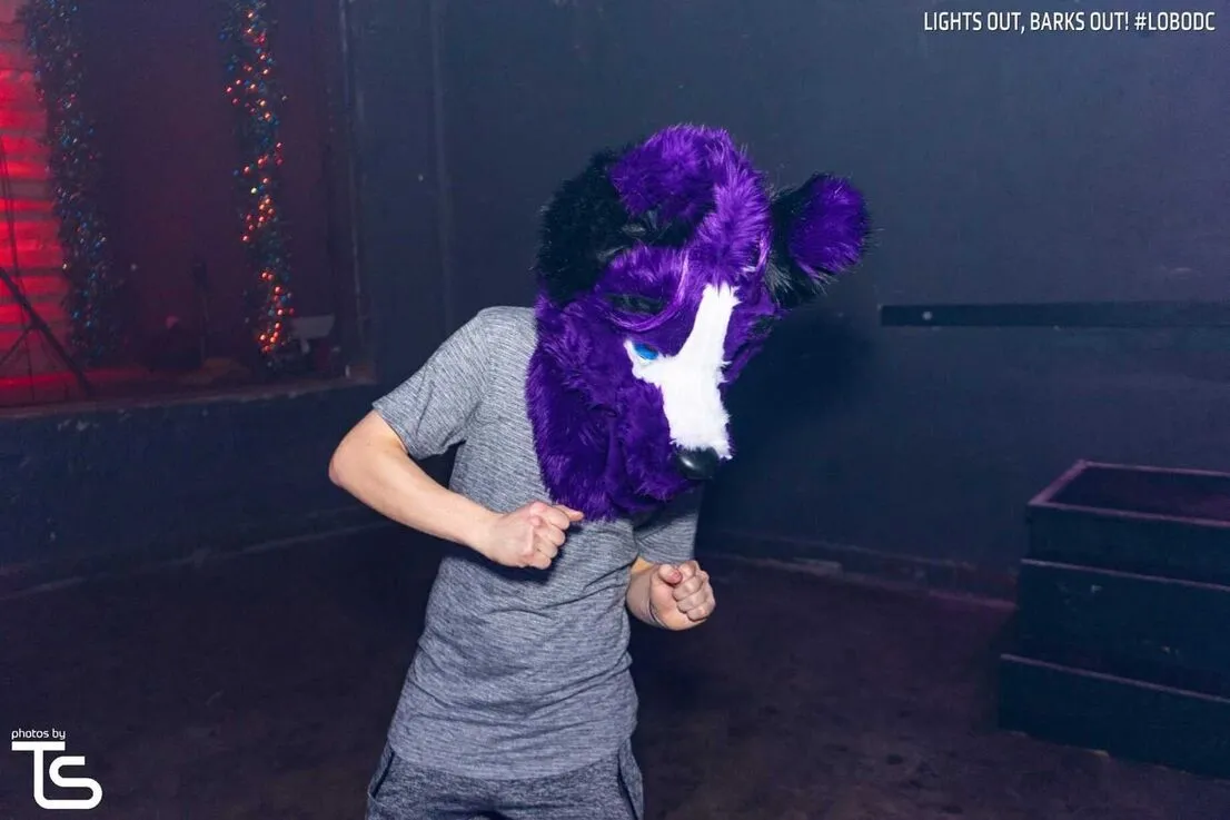 LOBO DC (December 2019)