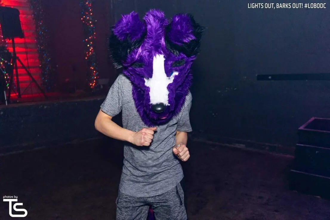 LOBO DC (December 2019)