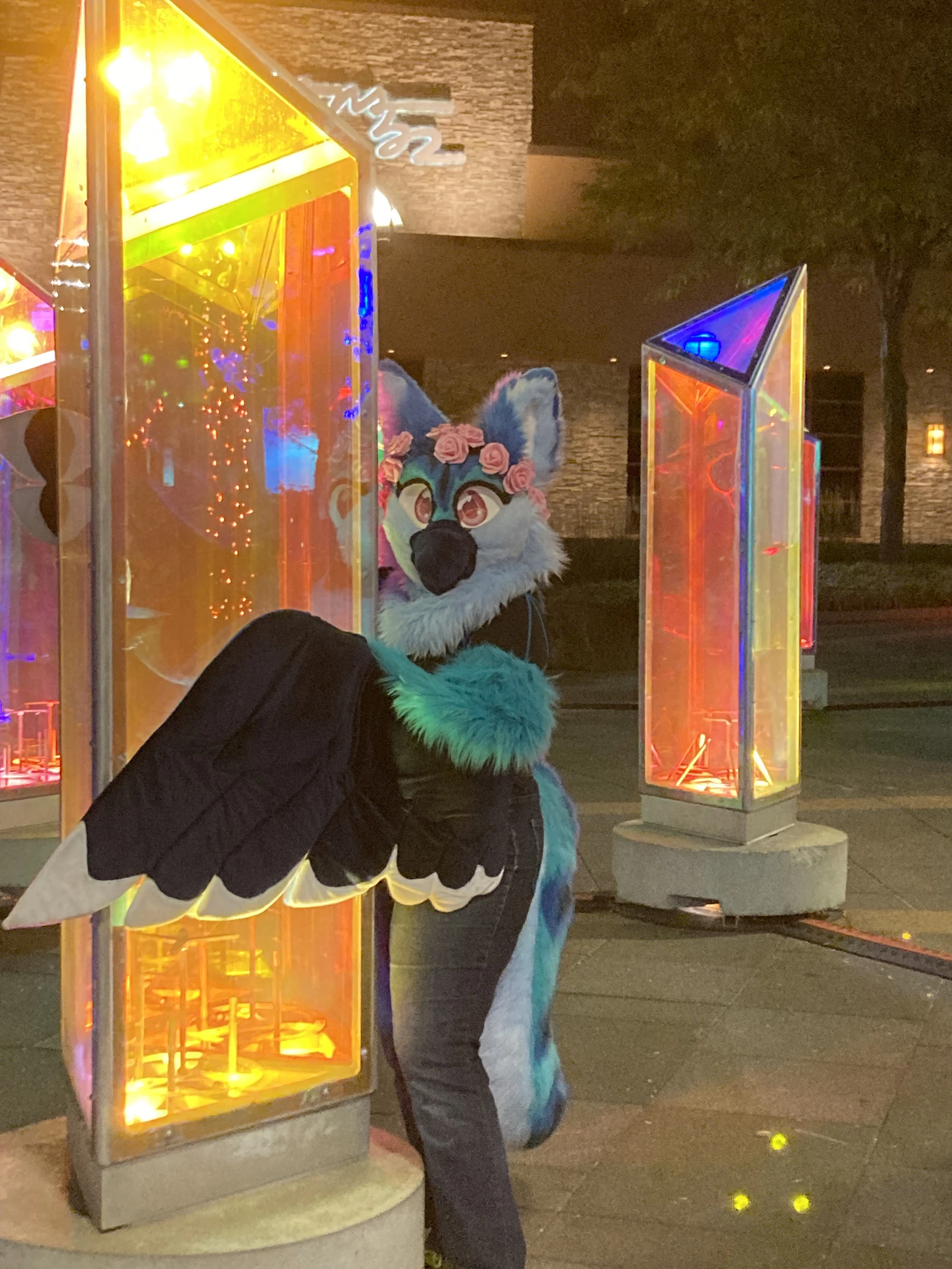 Mall Lights PhotoShoot (September 2021)