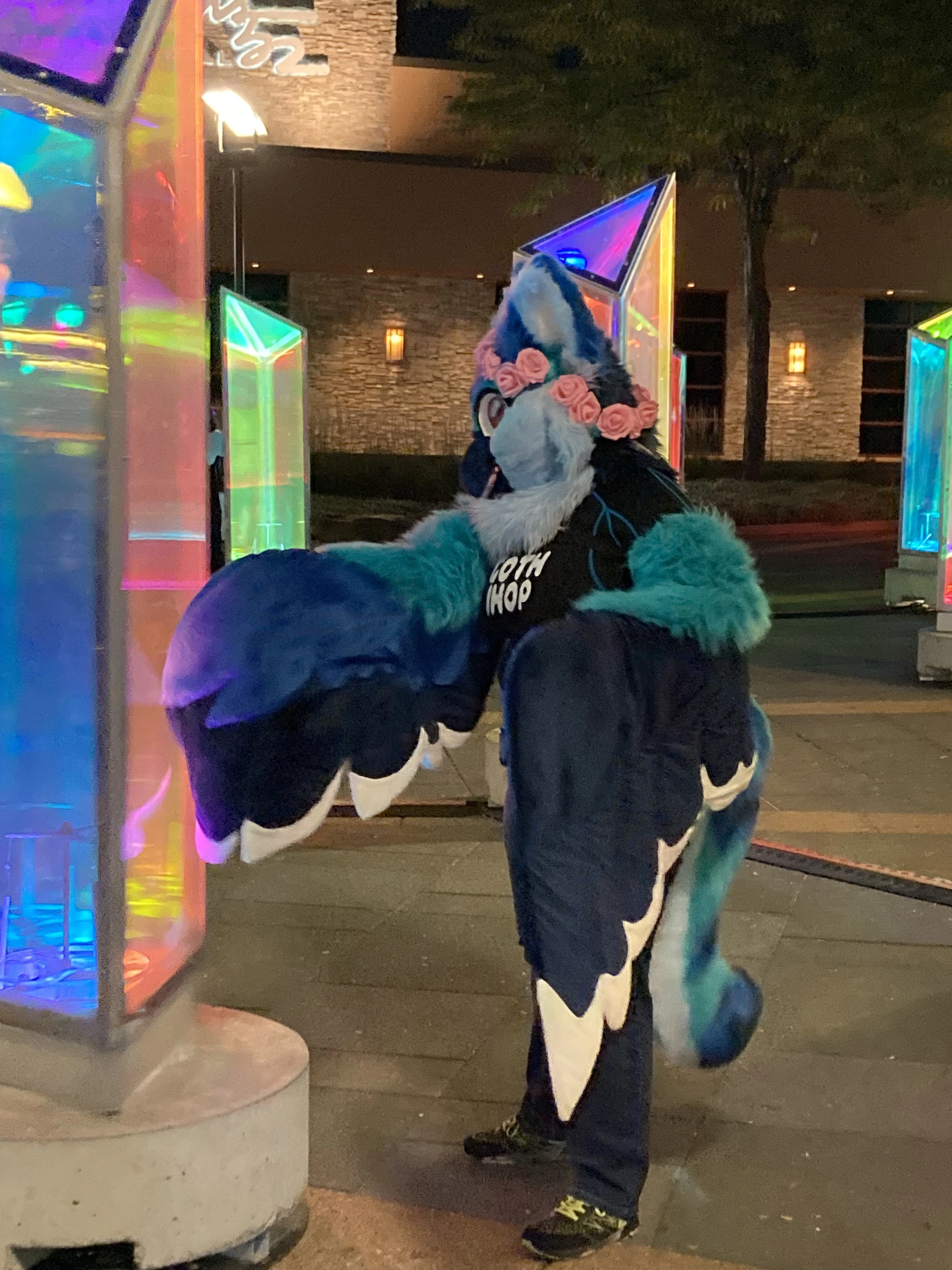 Mall Lights PhotoShoot (September 2021)