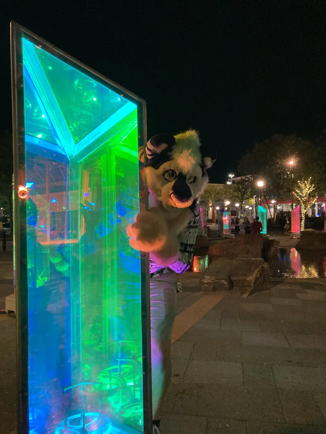 Mall Lights PhotoShoot (September 2021)