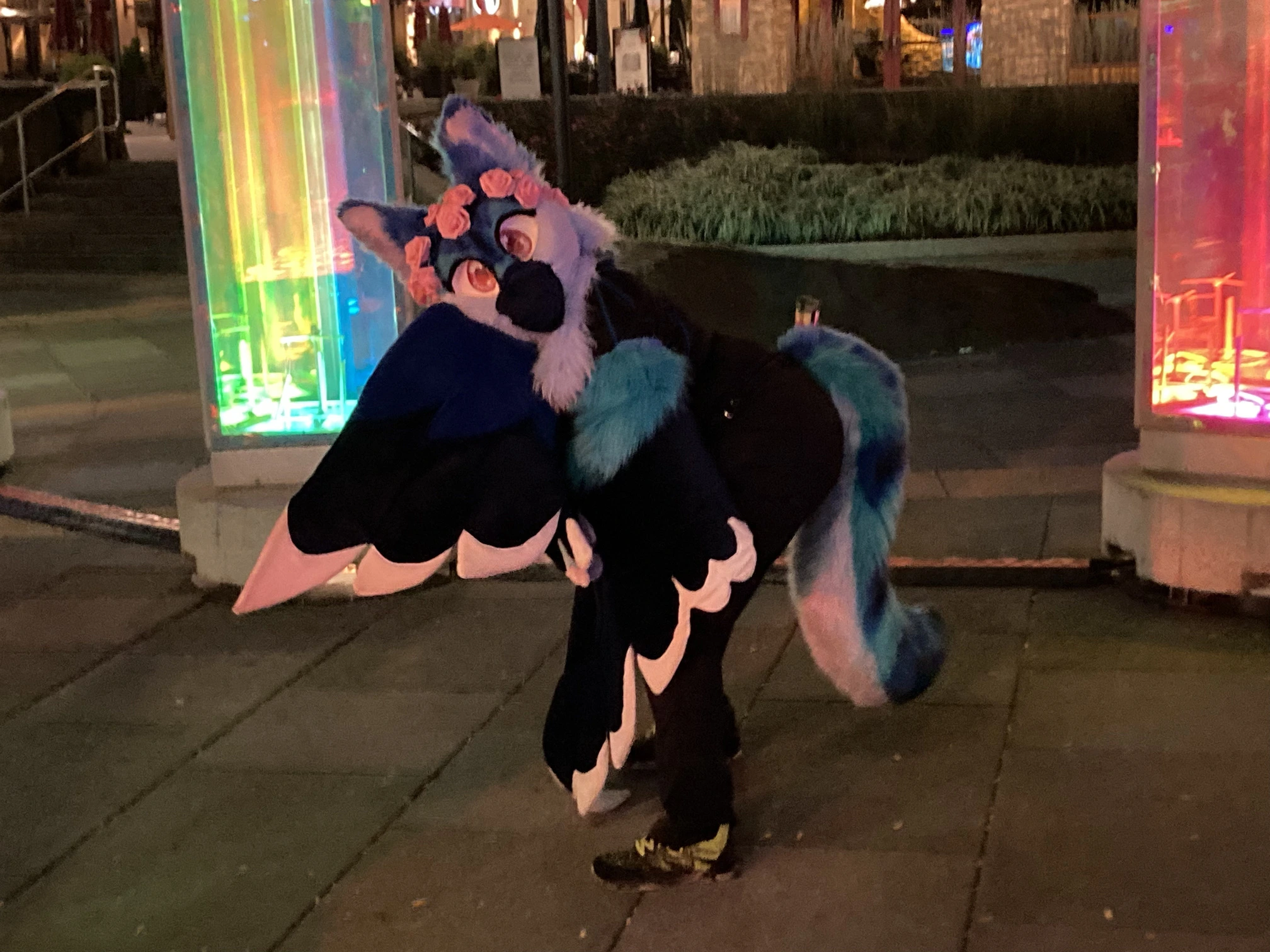 Mall Lights PhotoShoot (October 2021)