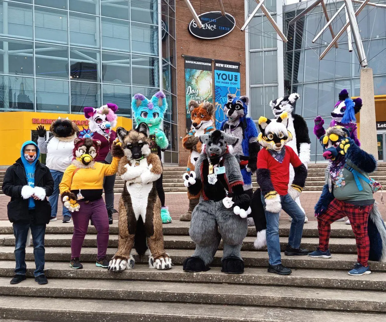 MDFurs Furwalk (December 2021)
