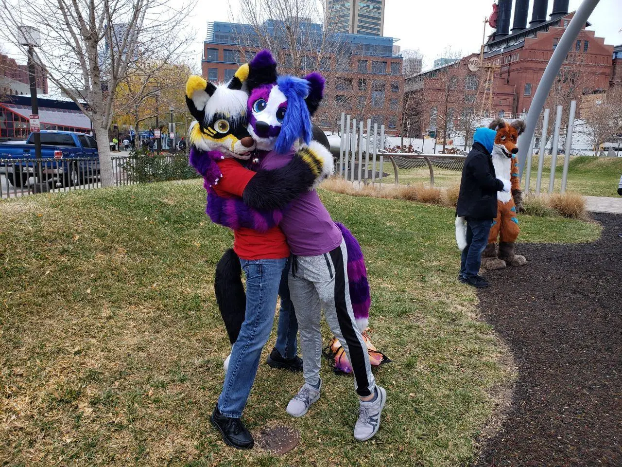 MDFurs Furwalk (December 2021)
