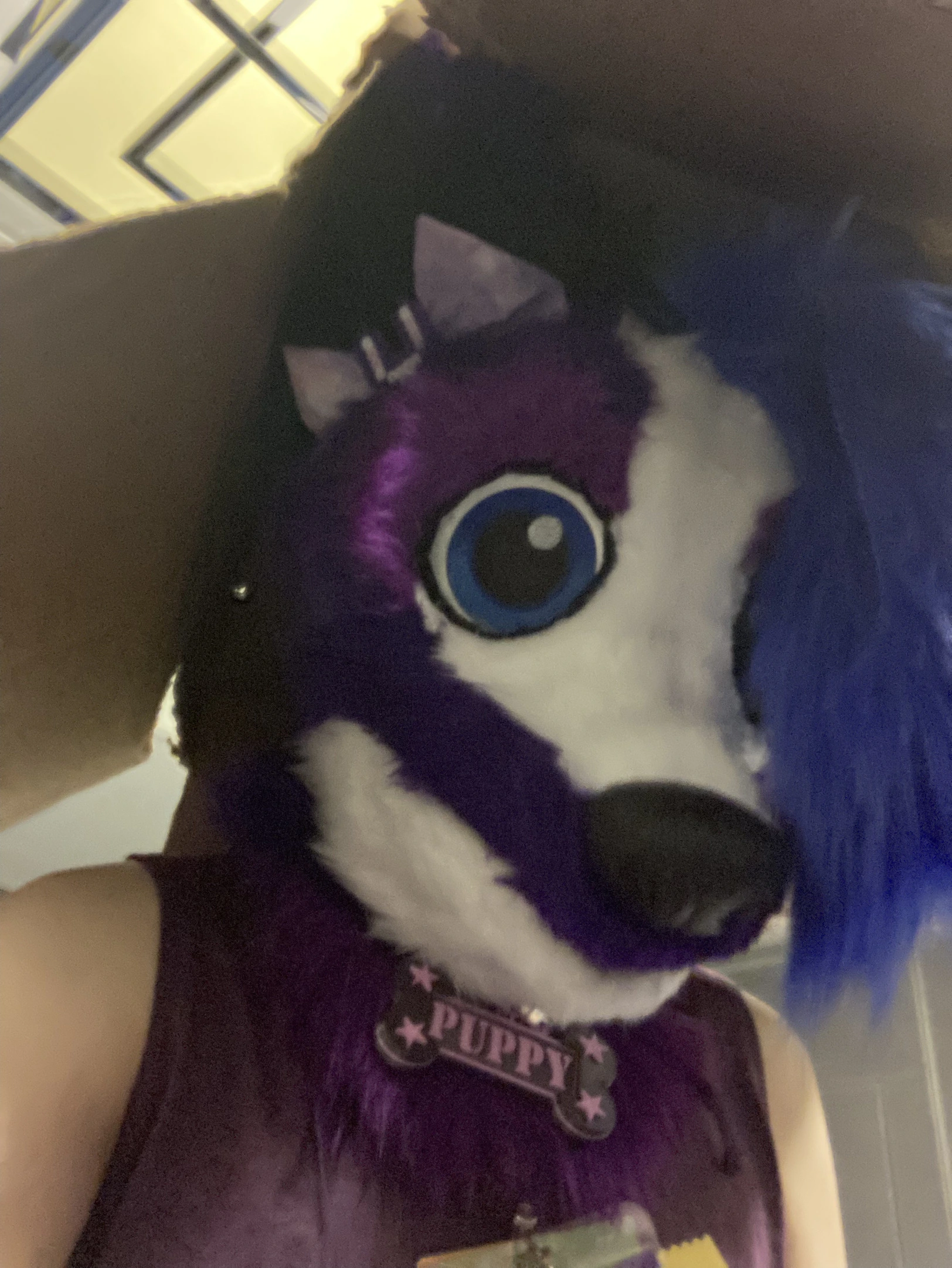 FurTheMore (March 2022)