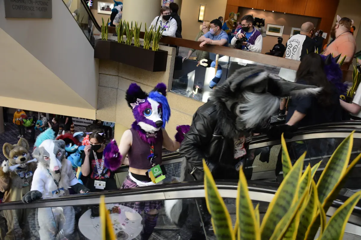 FurTheMore (March 2022)