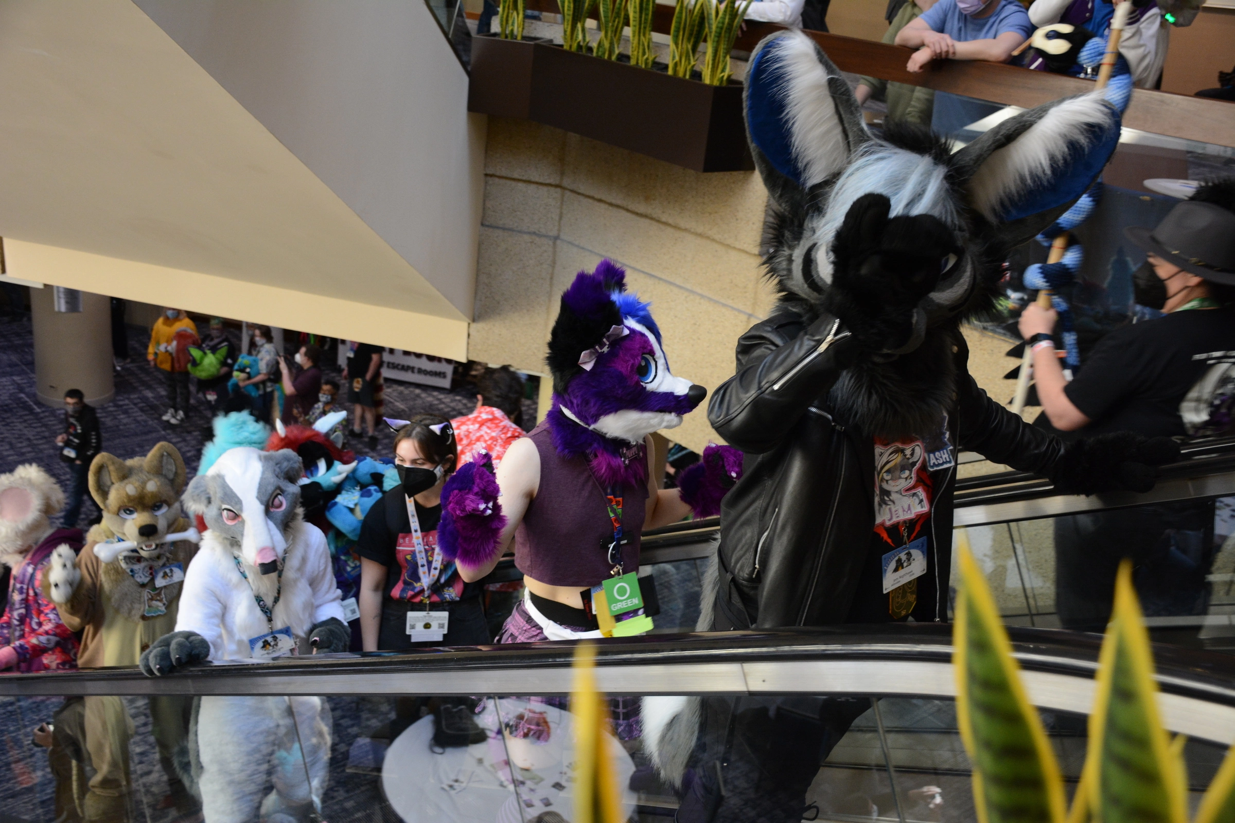 FurTheMore (March 2022)