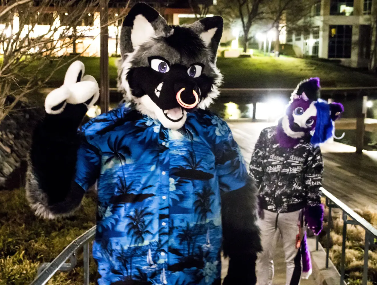 Nighttime Fursuit Outing (March 2022)