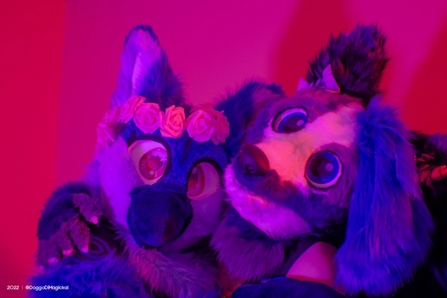 Delaware Furbowl 76 (June 2022)