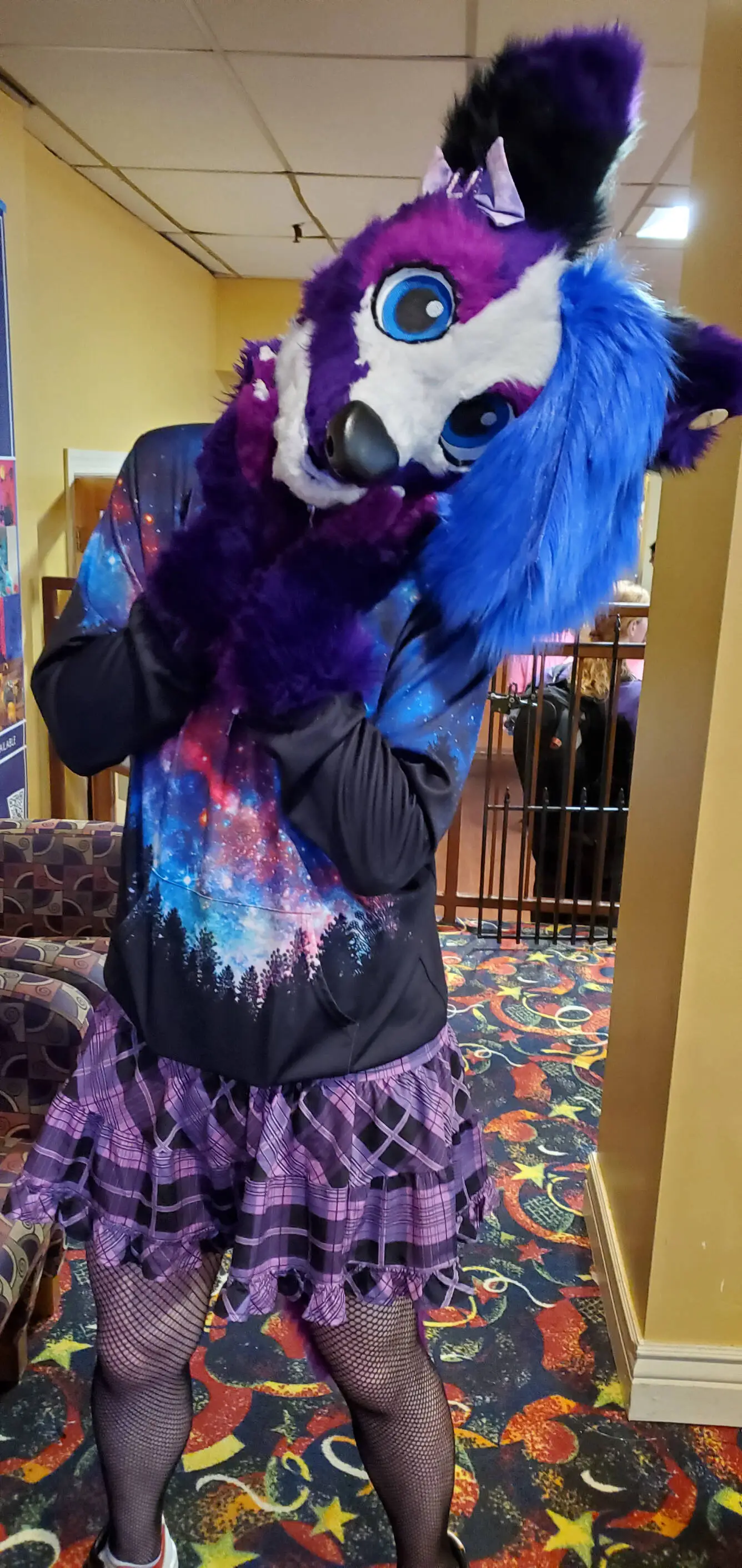 Delaware Furbowl 78 (September 2022)