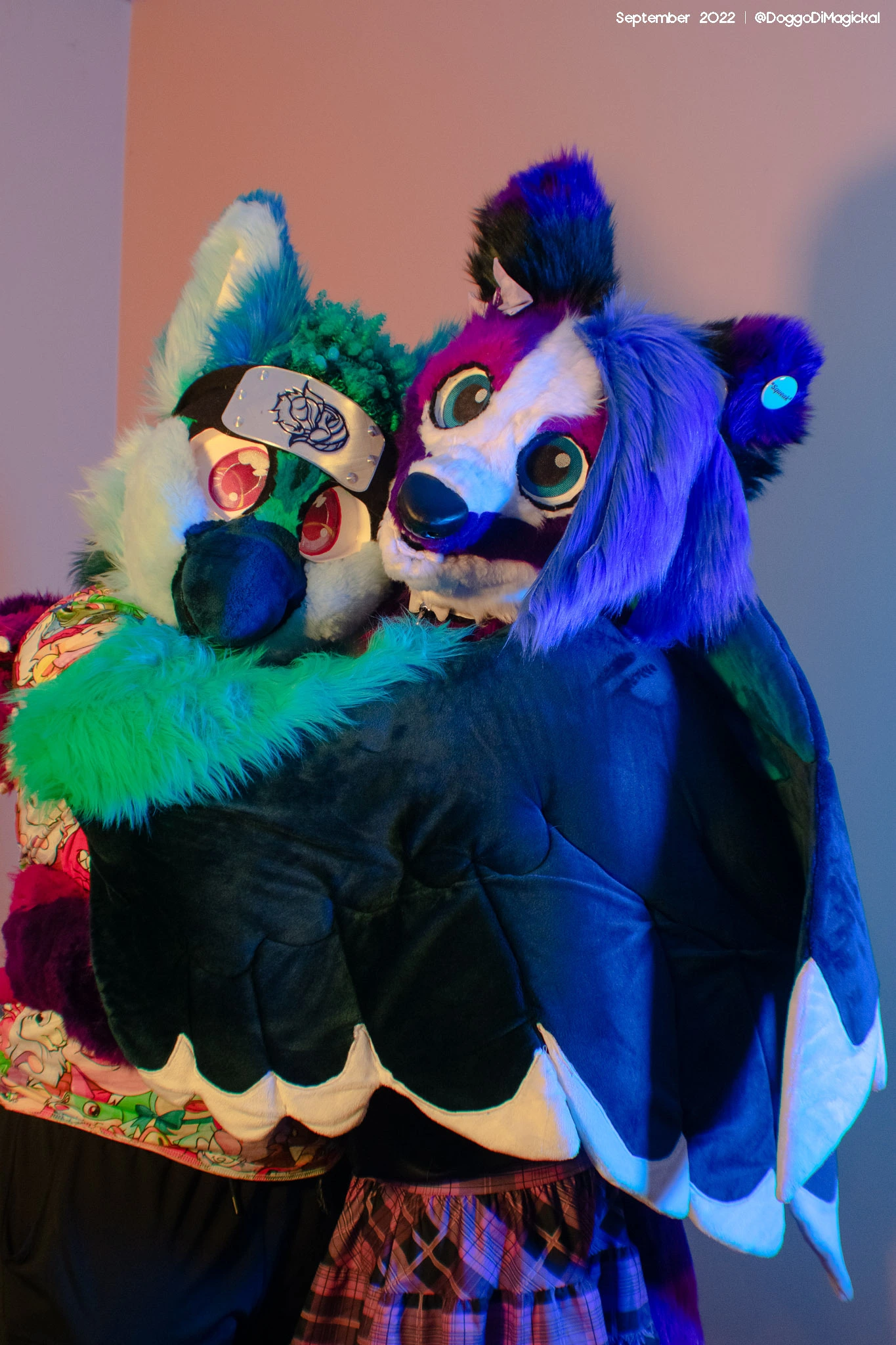 Delaware Furbowl 78 (September 2022)