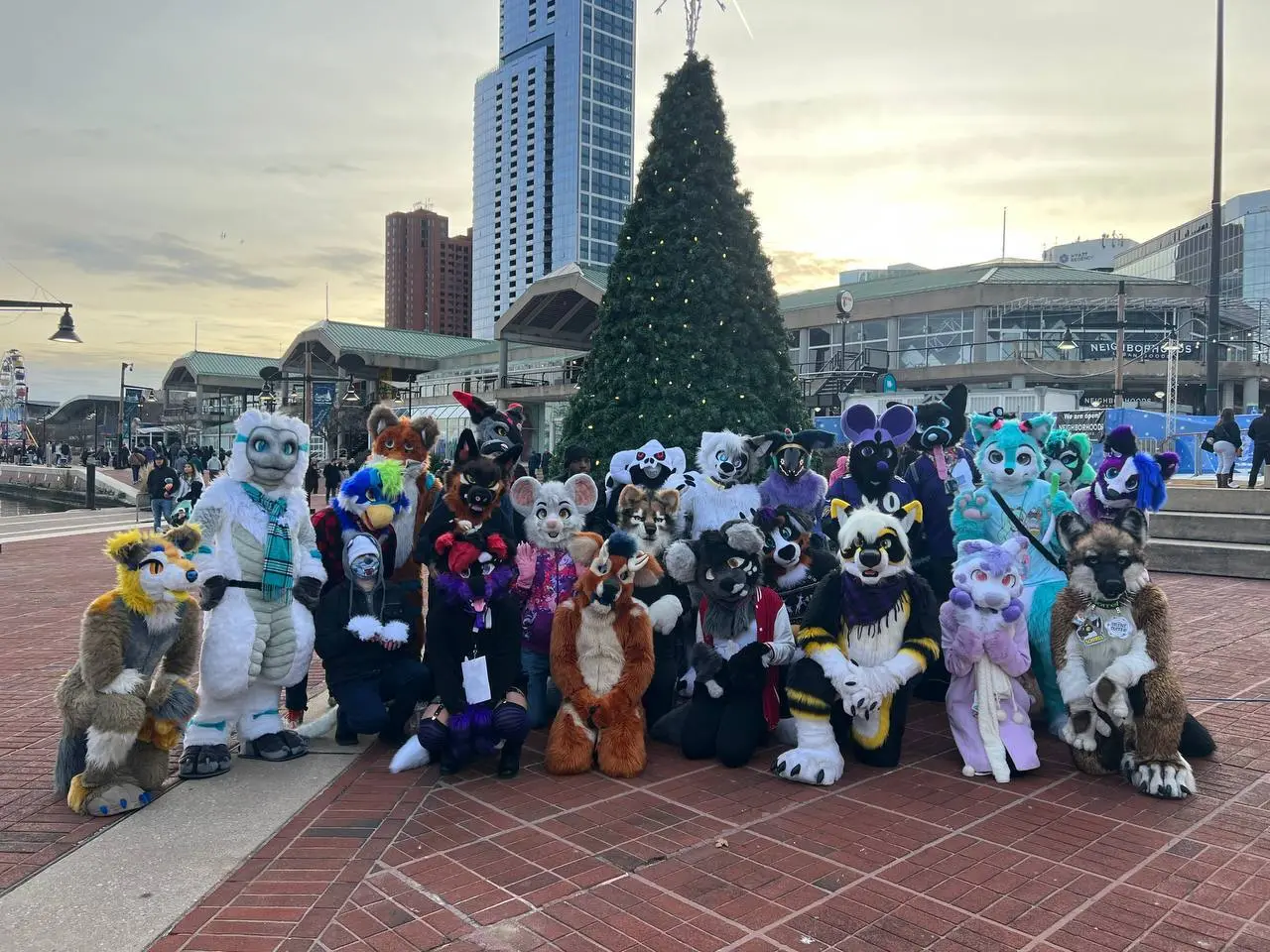 MDFurs Furwalk (December 2022)