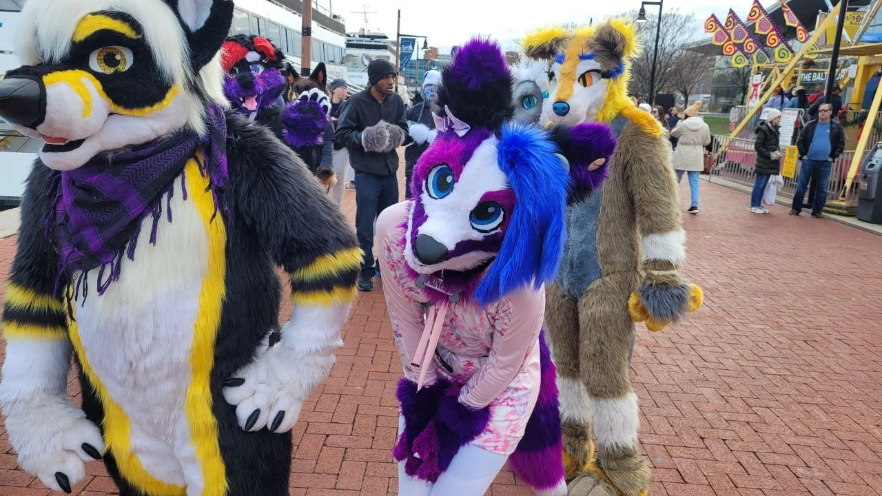 MDFurs Furwalk (December 2022)