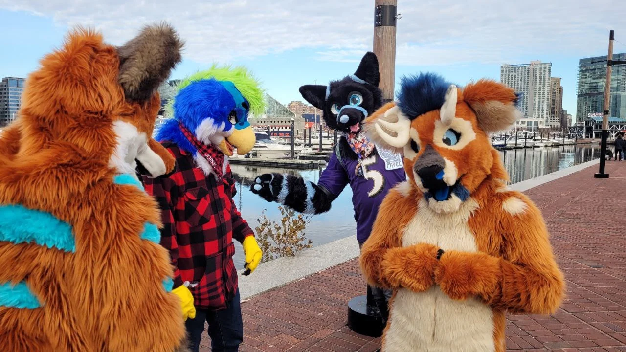 MDFurs Furwalk (December 2022)
