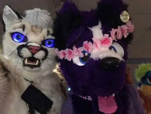 MDFurs Furskate (January 2020)