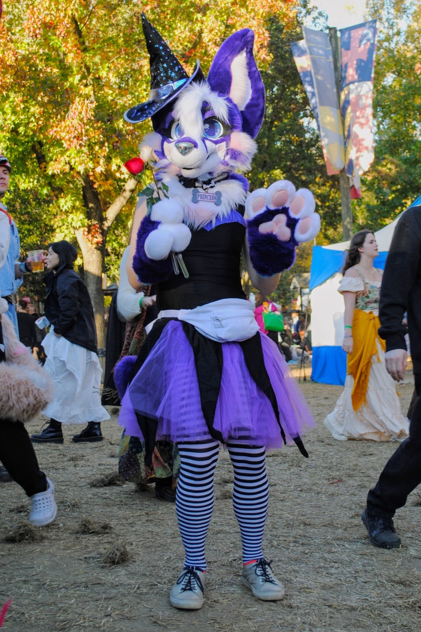 Maryland Renfaire (October 2023)