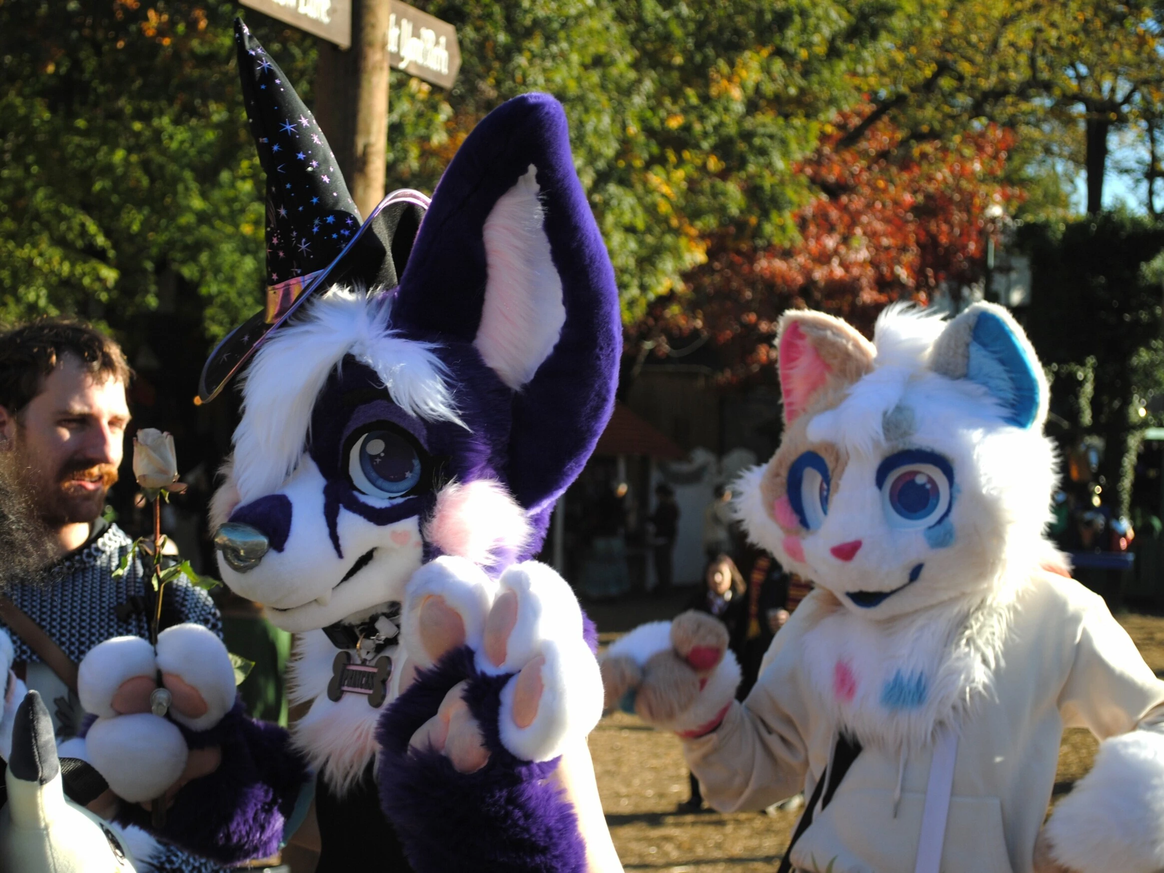 Maryland Renfaire (October 2023)