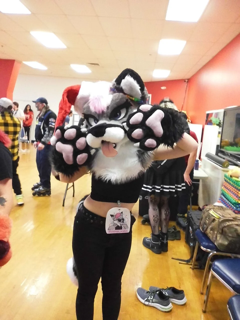 MDFurs Furskate (December 2023)