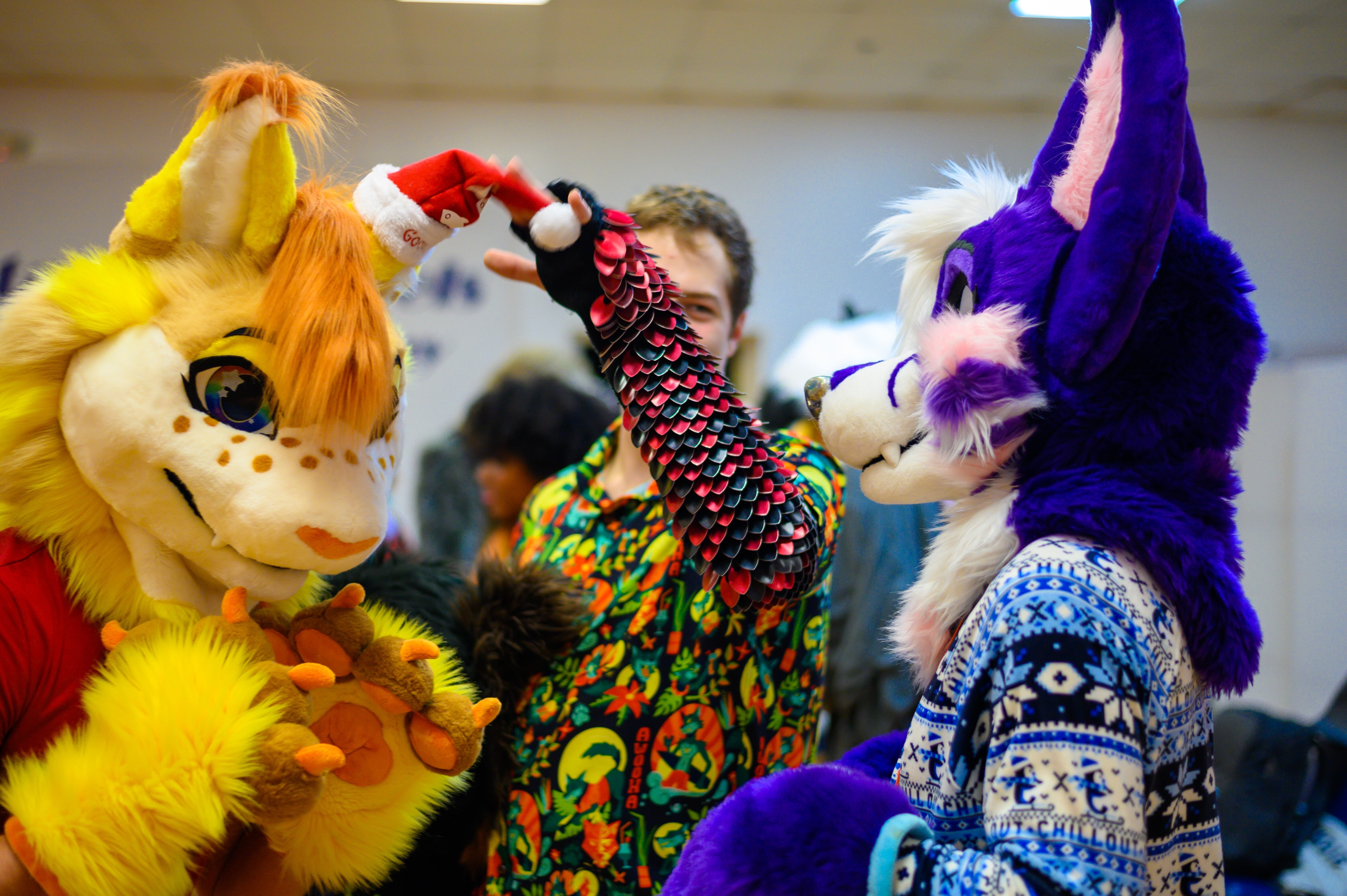 MDFurs Furskate (December 2023)