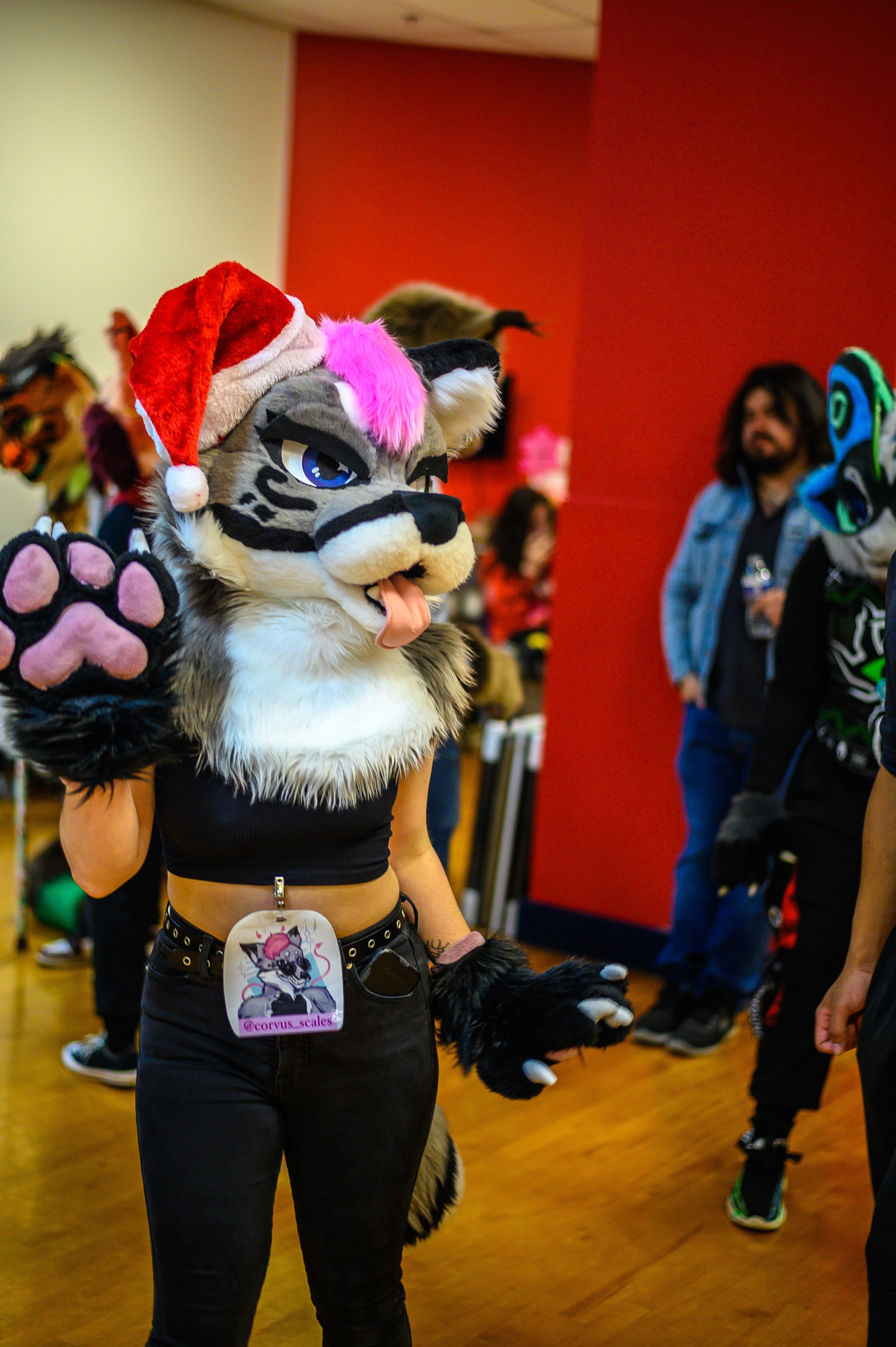 MDFurs Furskate (December 2023)