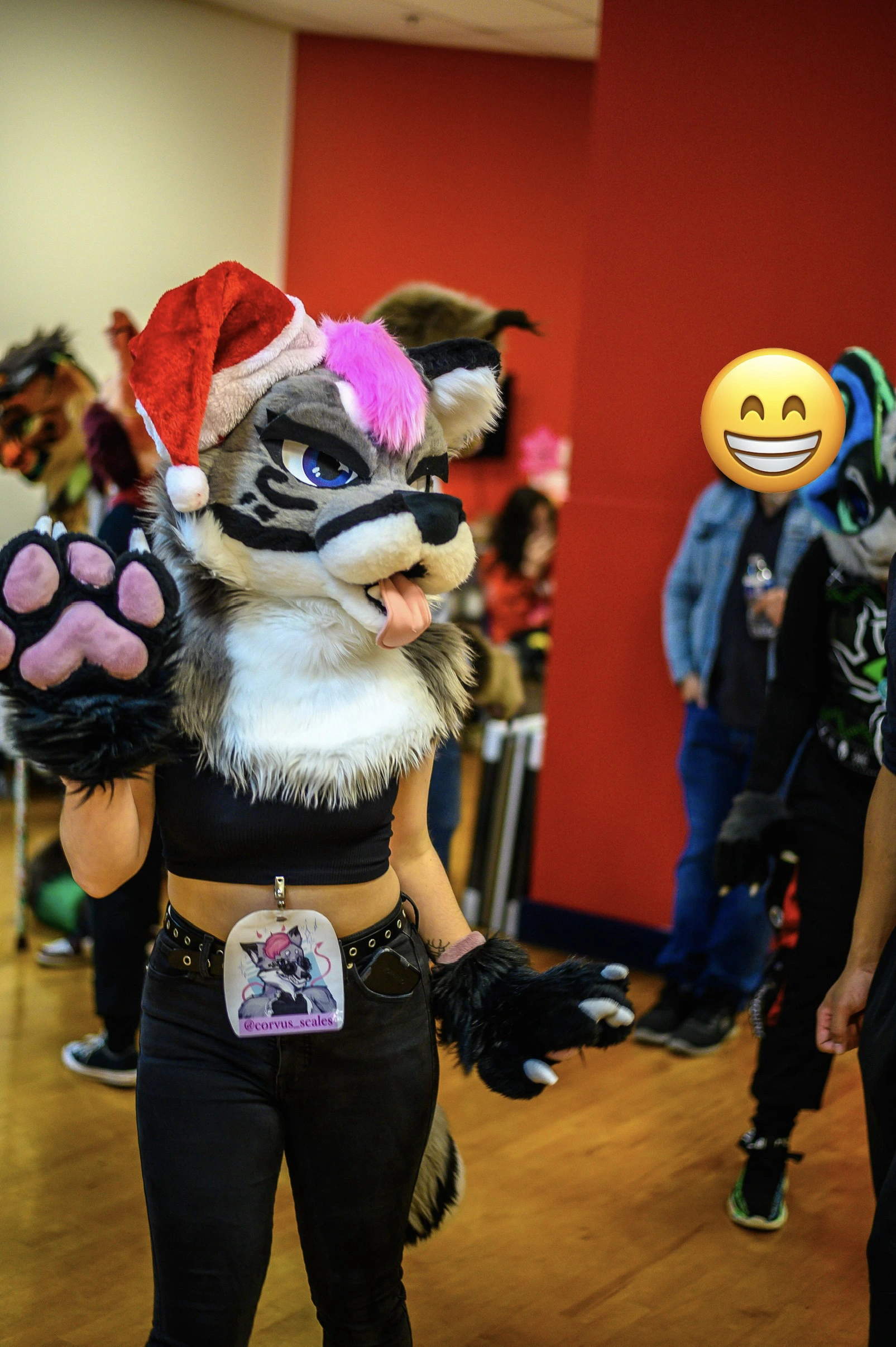 MDFurs Furskate (December 2023)