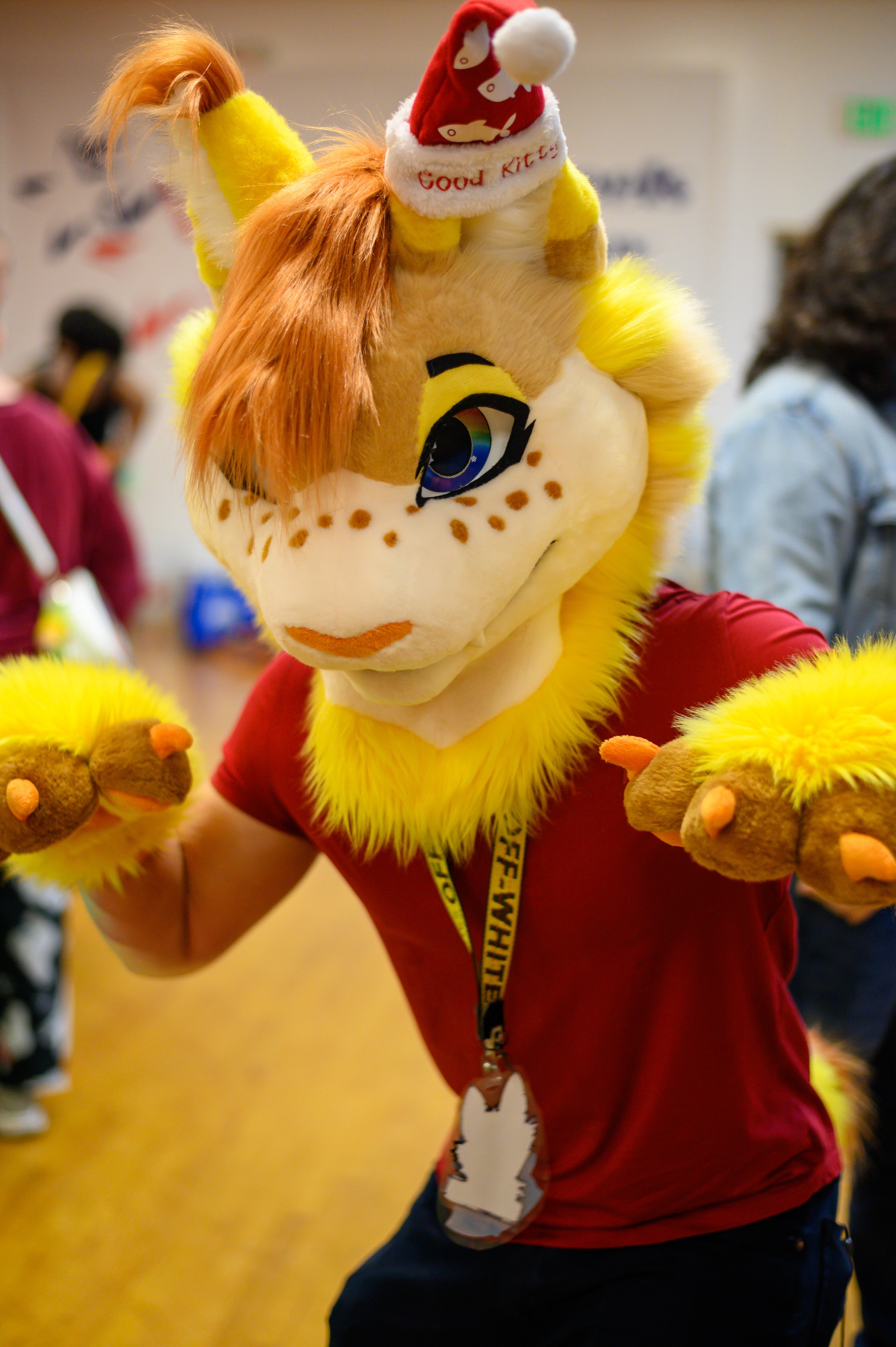 MDFurs Furskate (December 2023)