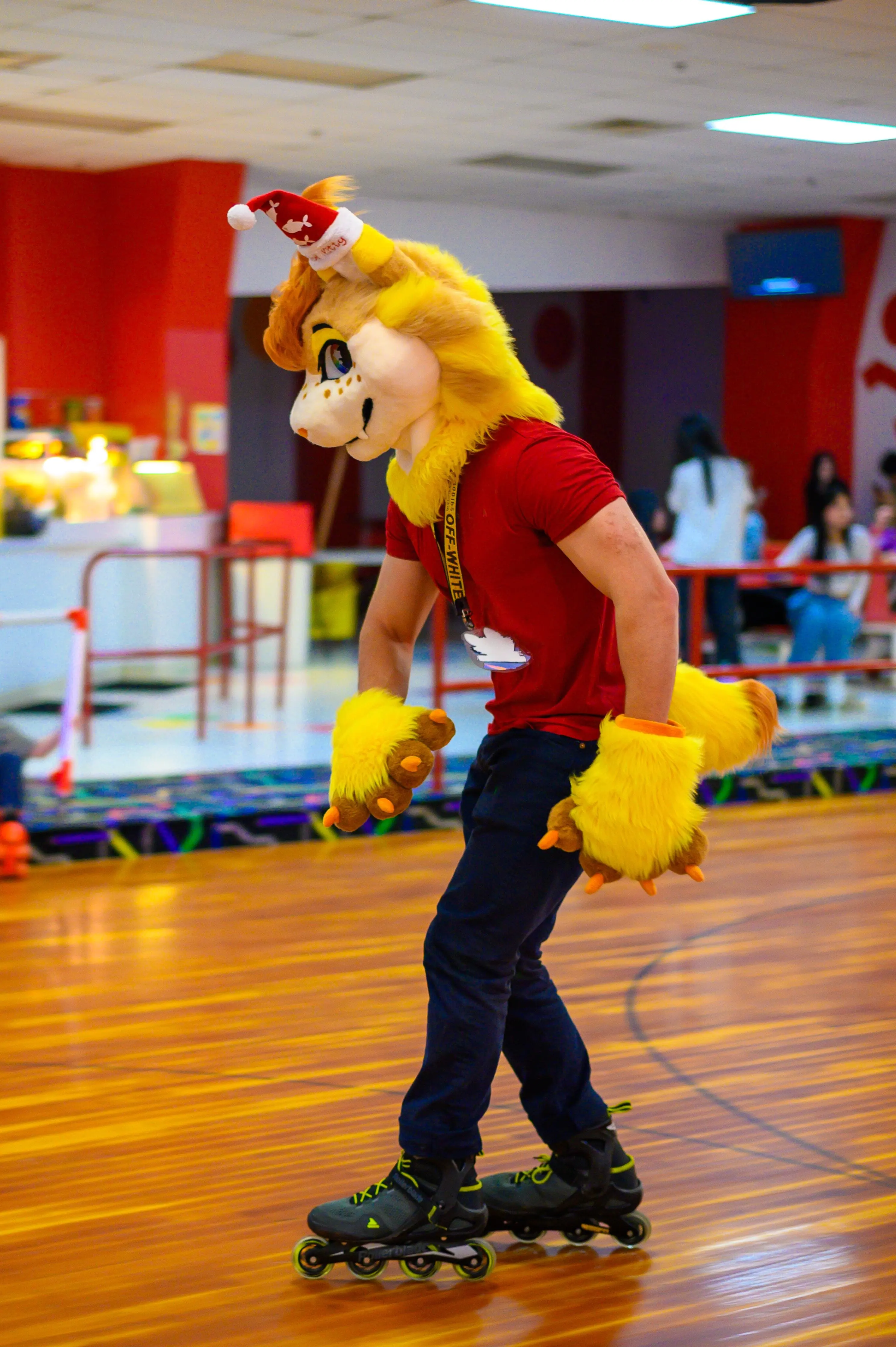 MDFurs Furskate (December 2023)