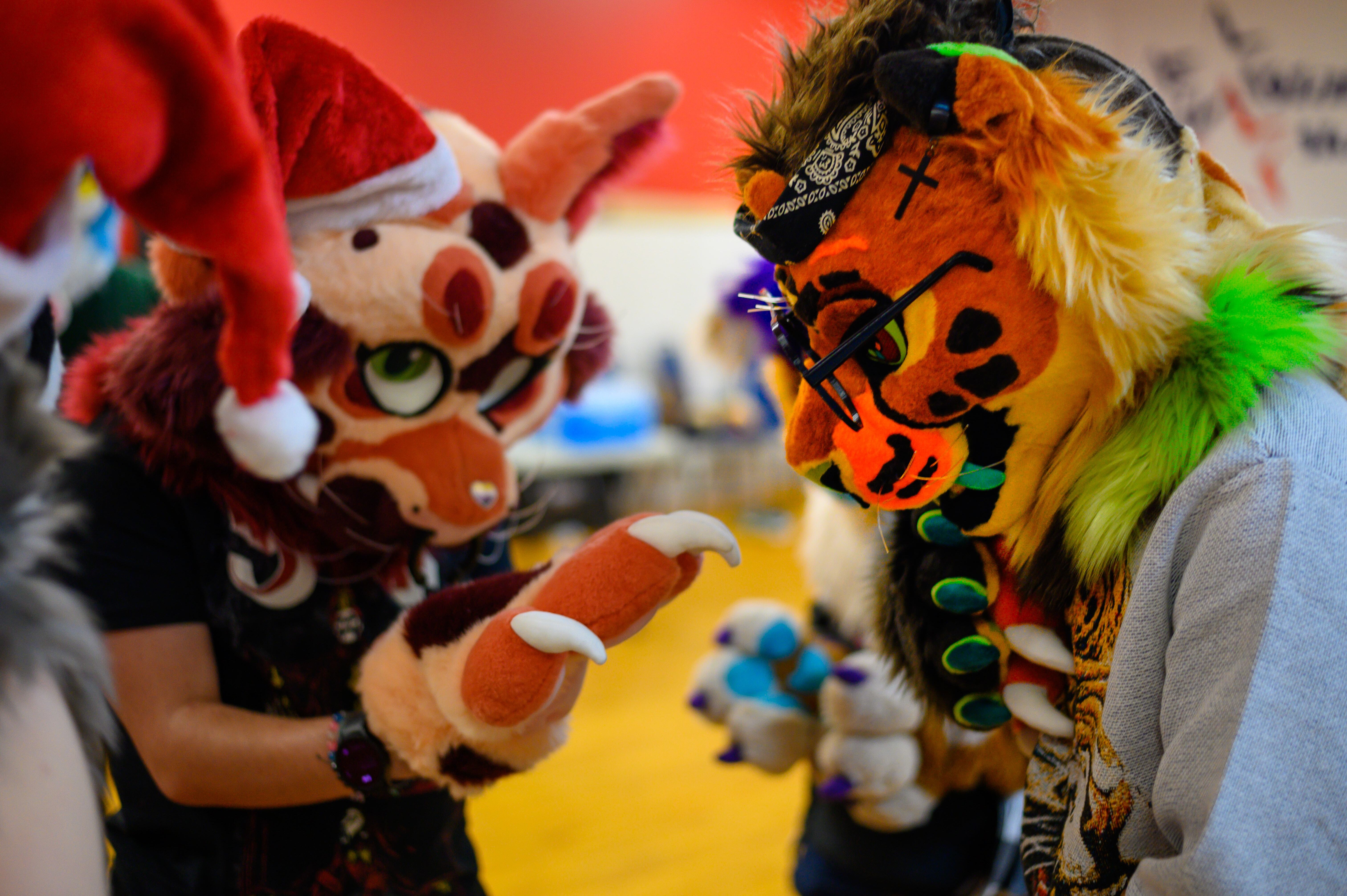 MDFurs Furskate (December 2023)