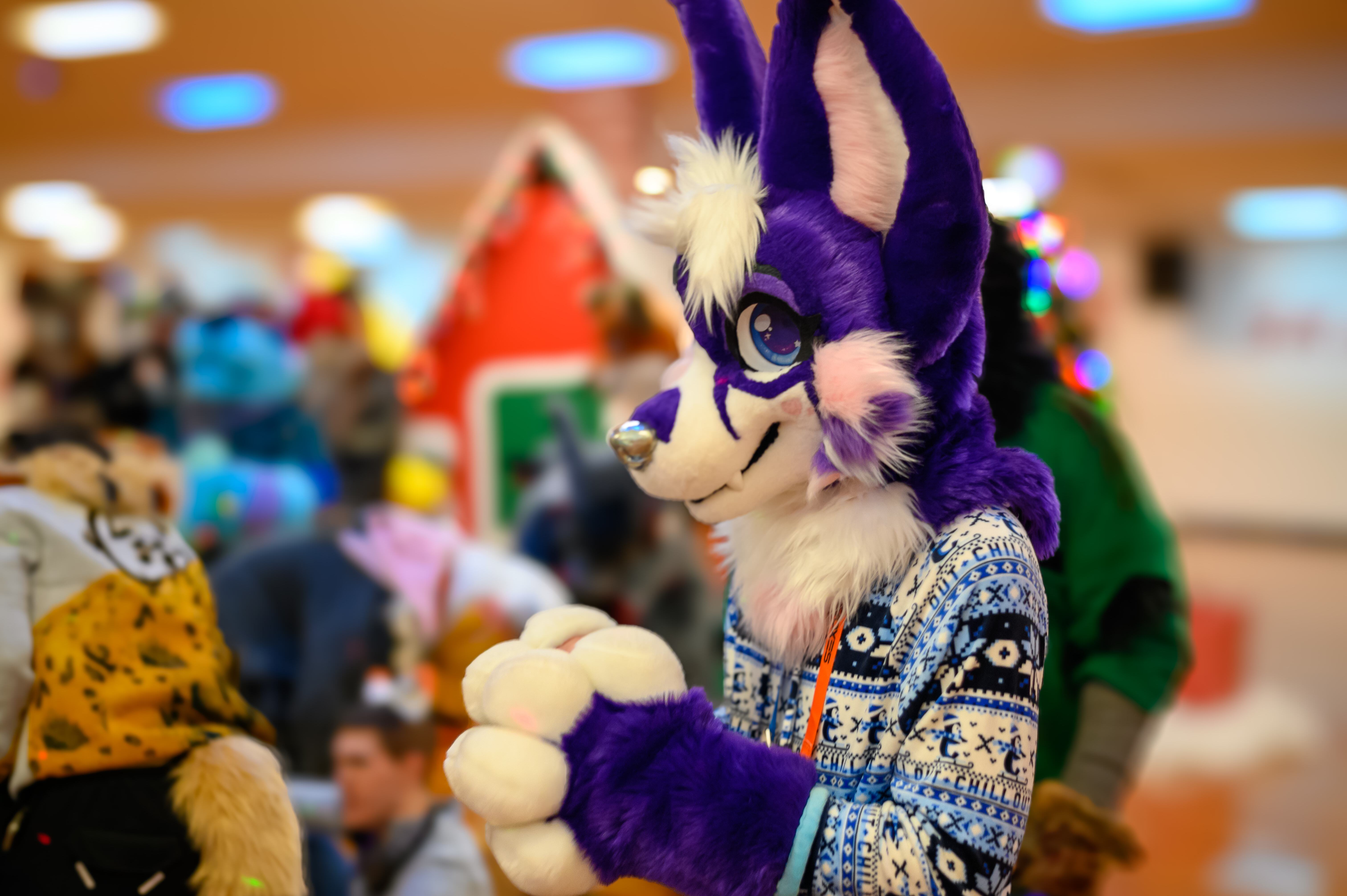 MDFurs Furskate (December 2023)