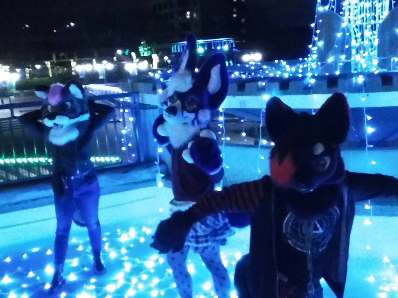 Nighttime Fursuit Outing (December 2023)
