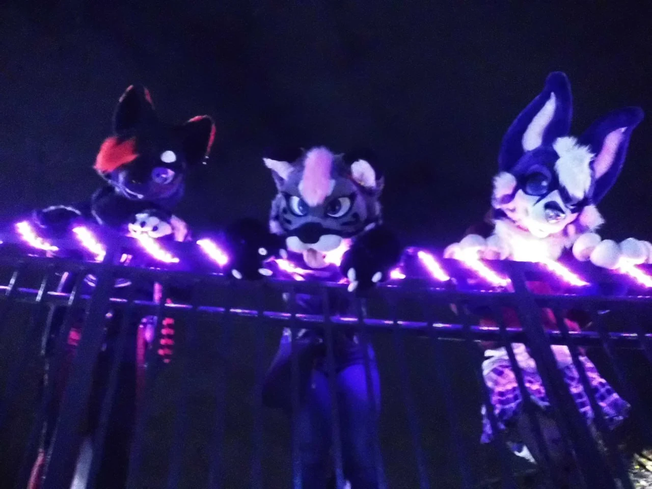 Nighttime Fursuit Outing (December 2023)