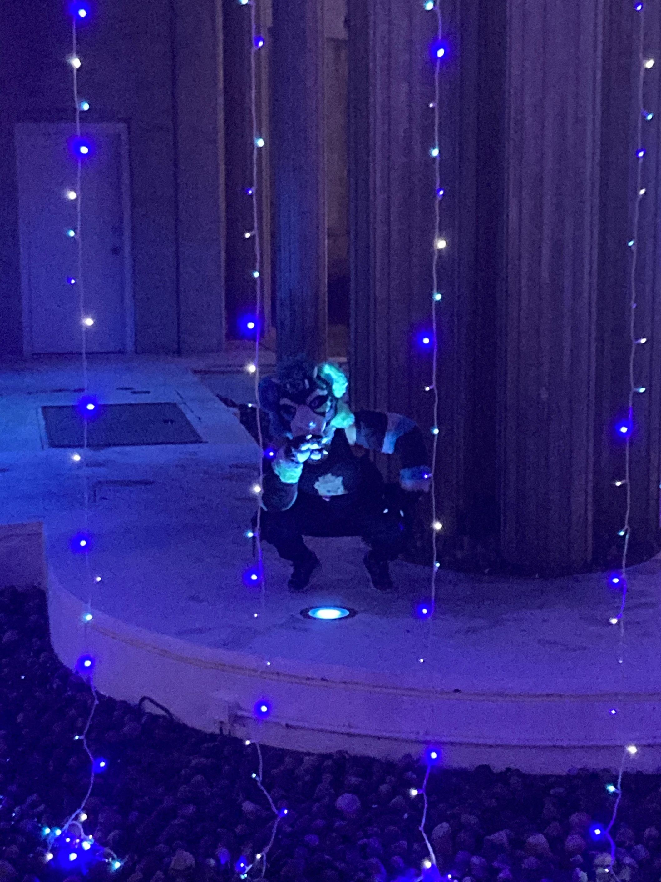 Nighttime Fursuit Outing (December 2023)