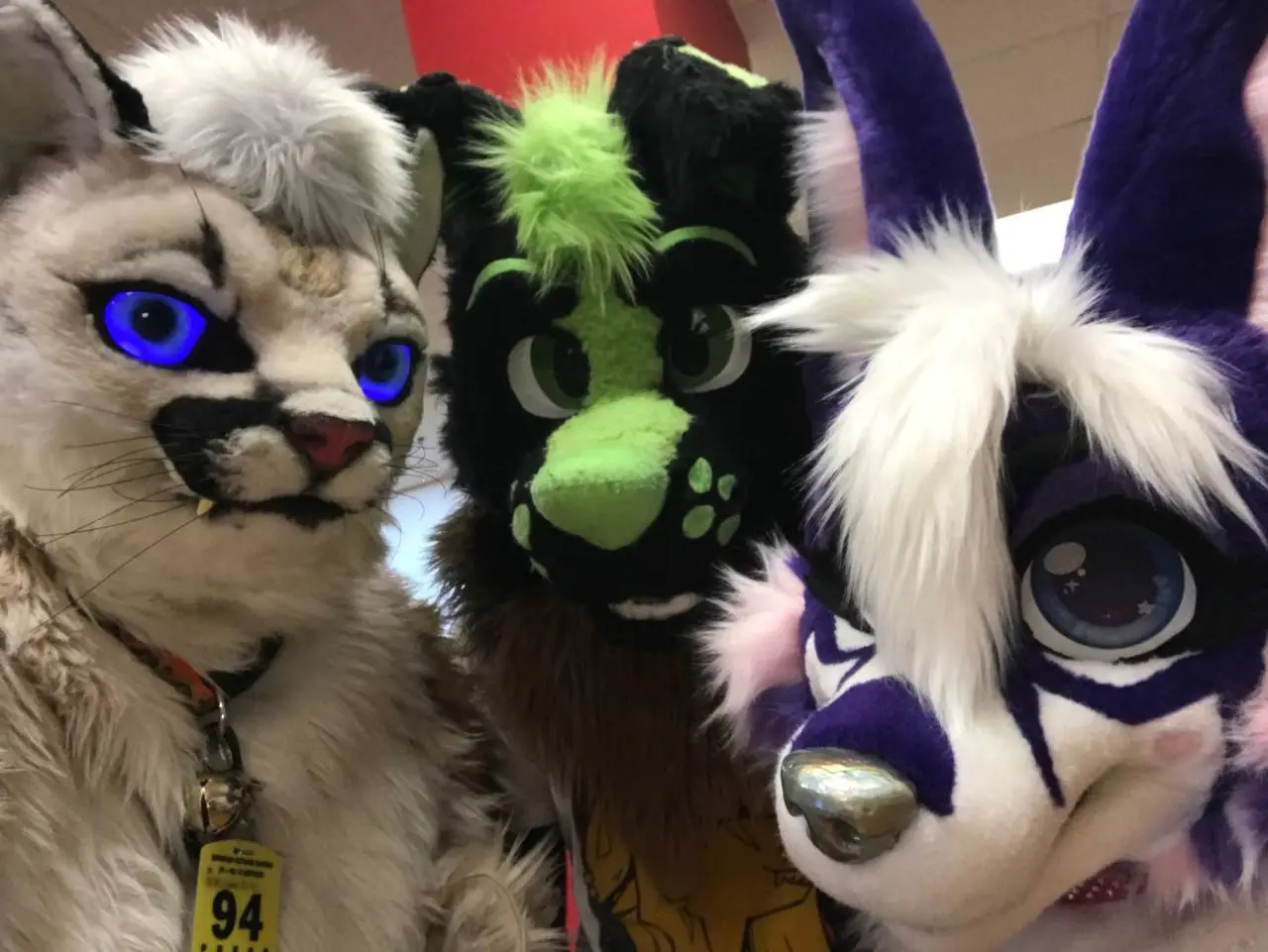 MDFurs Furskate (February 2024)