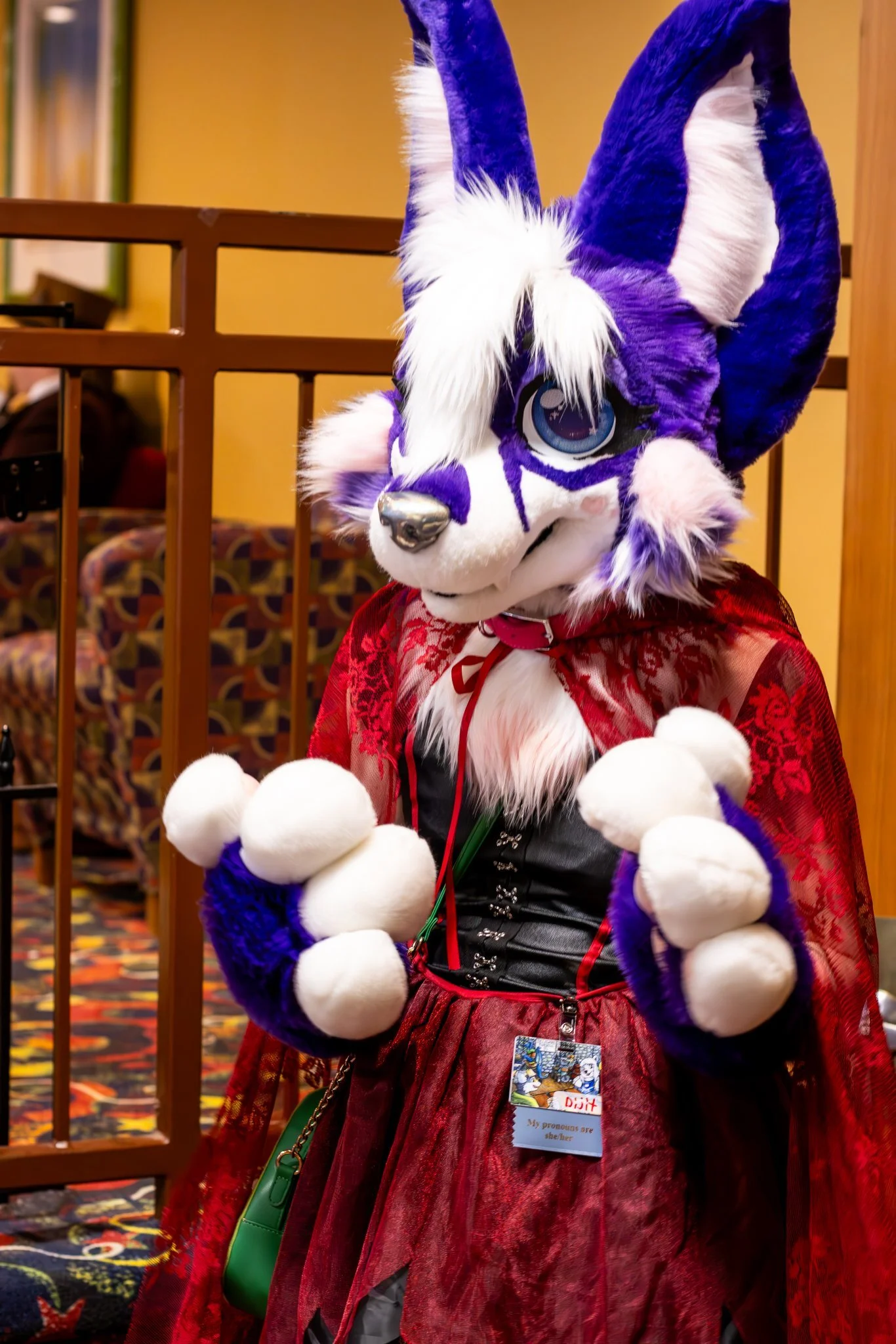 Delaware Furbowl 85 (February 2024)