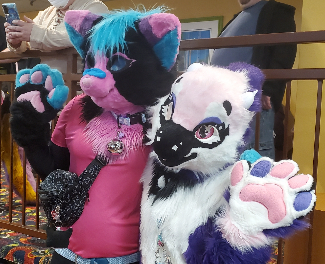 Delaware Furbowl 85 (February 2024)