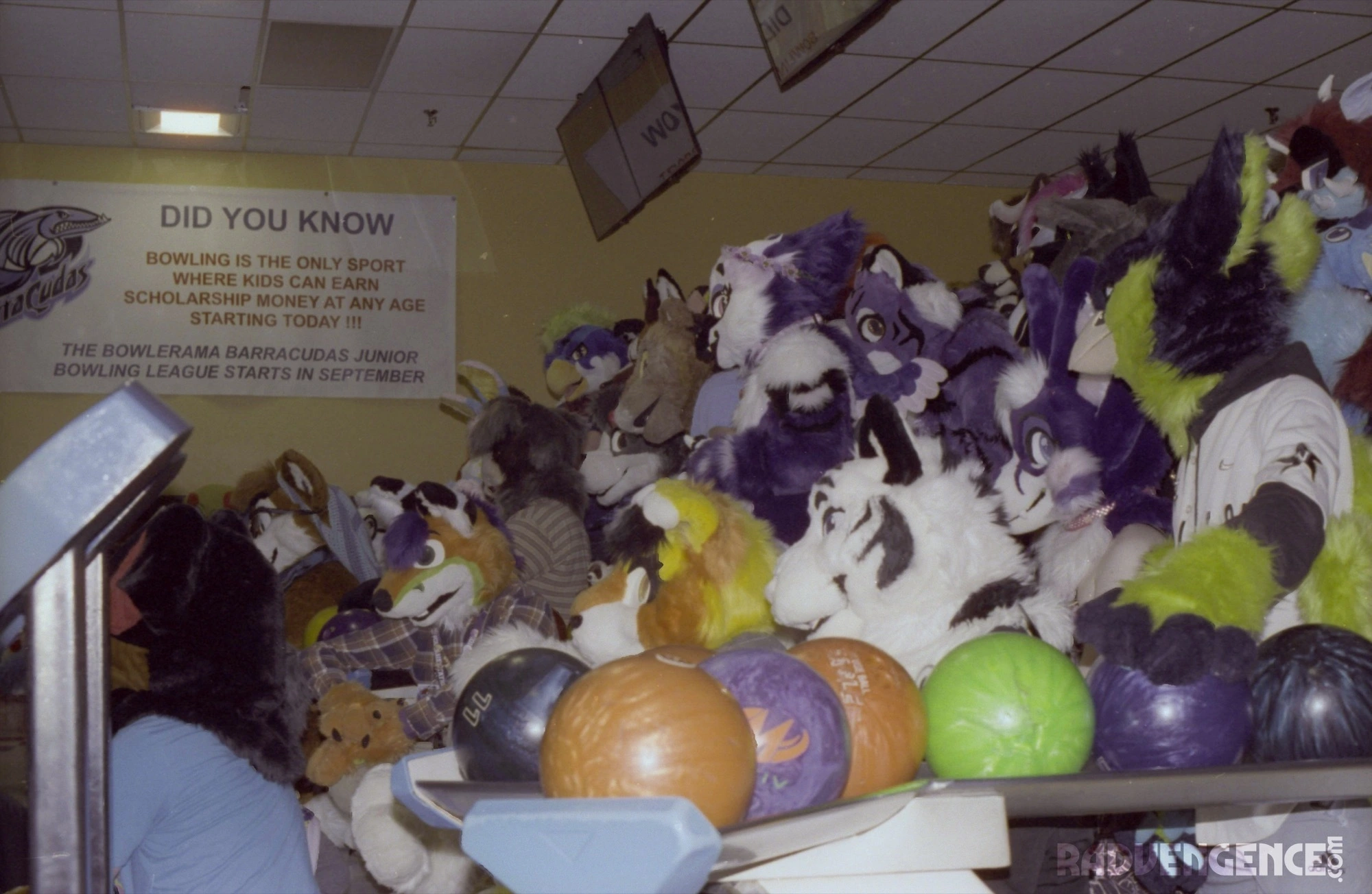 Delaware Furbowl 86 (April 2024)