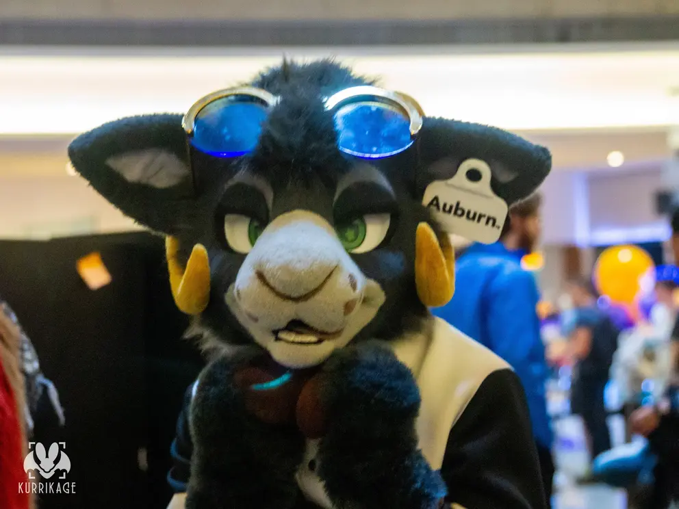 Furry Weekend Atlanta 2024
