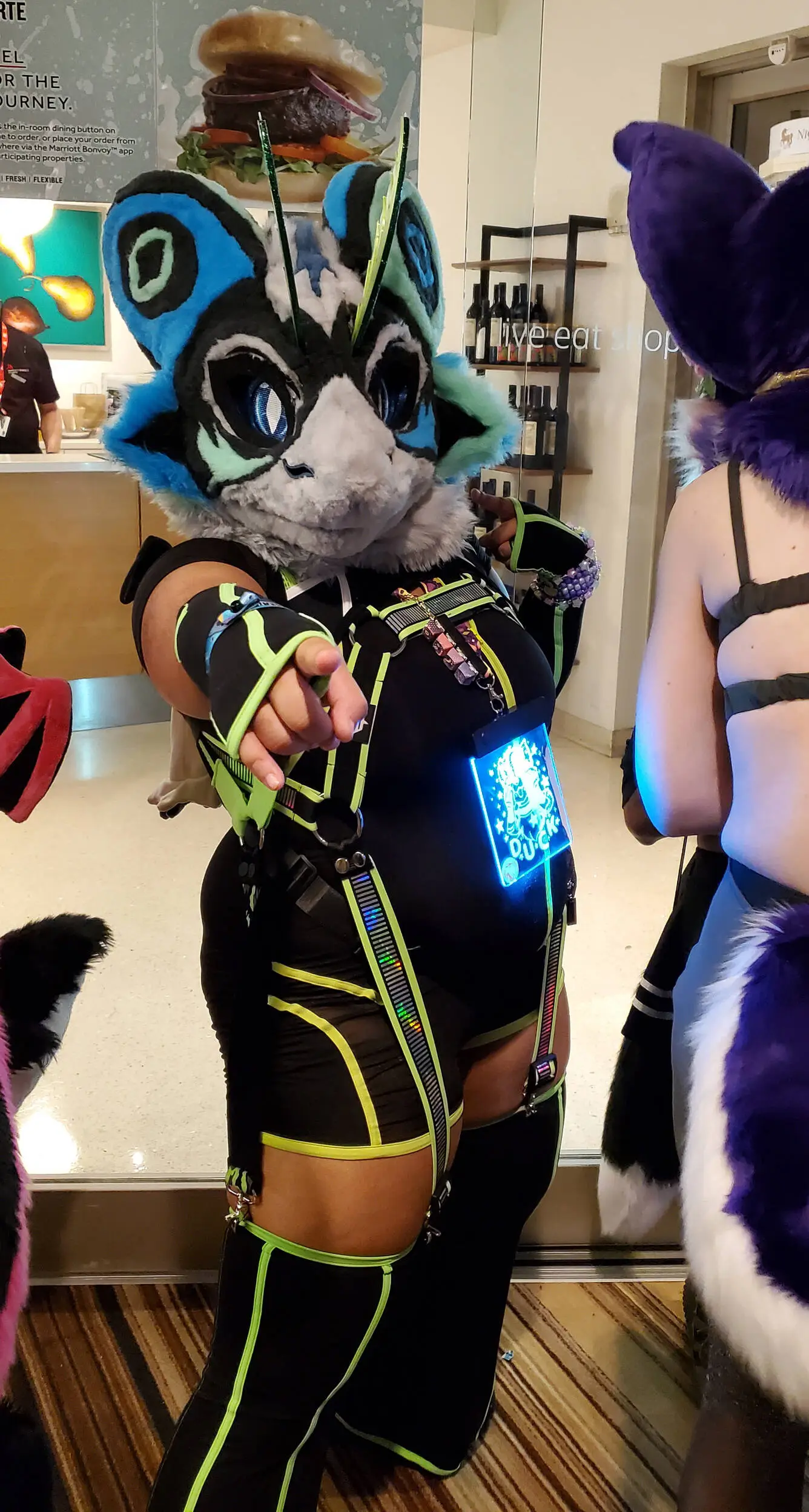 Furry Weekend Atlanta 2024