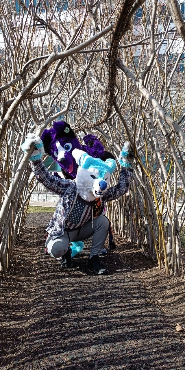 MDFurs Furwalk (February 2020)