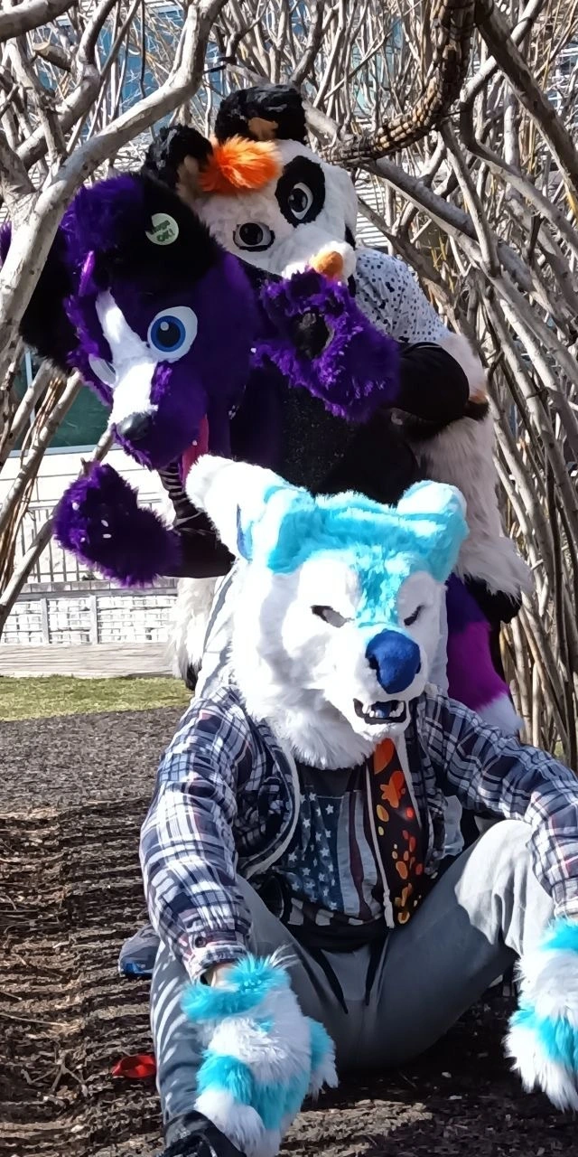 MDFurs Furwalk (February 2020)