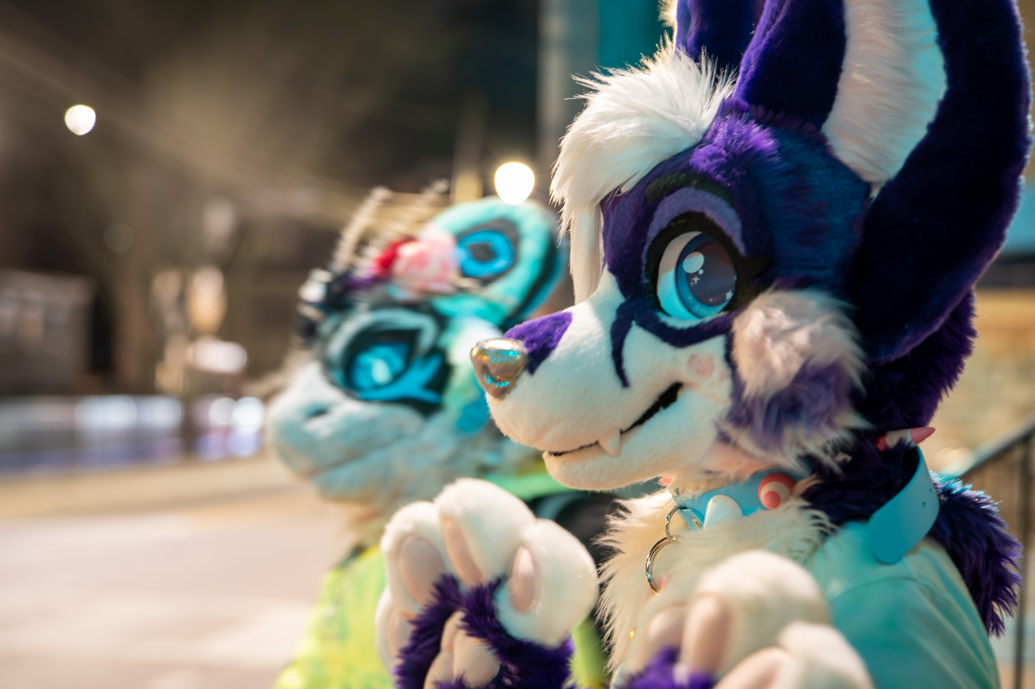 Nighttime PhotoShoot (April 2025)
