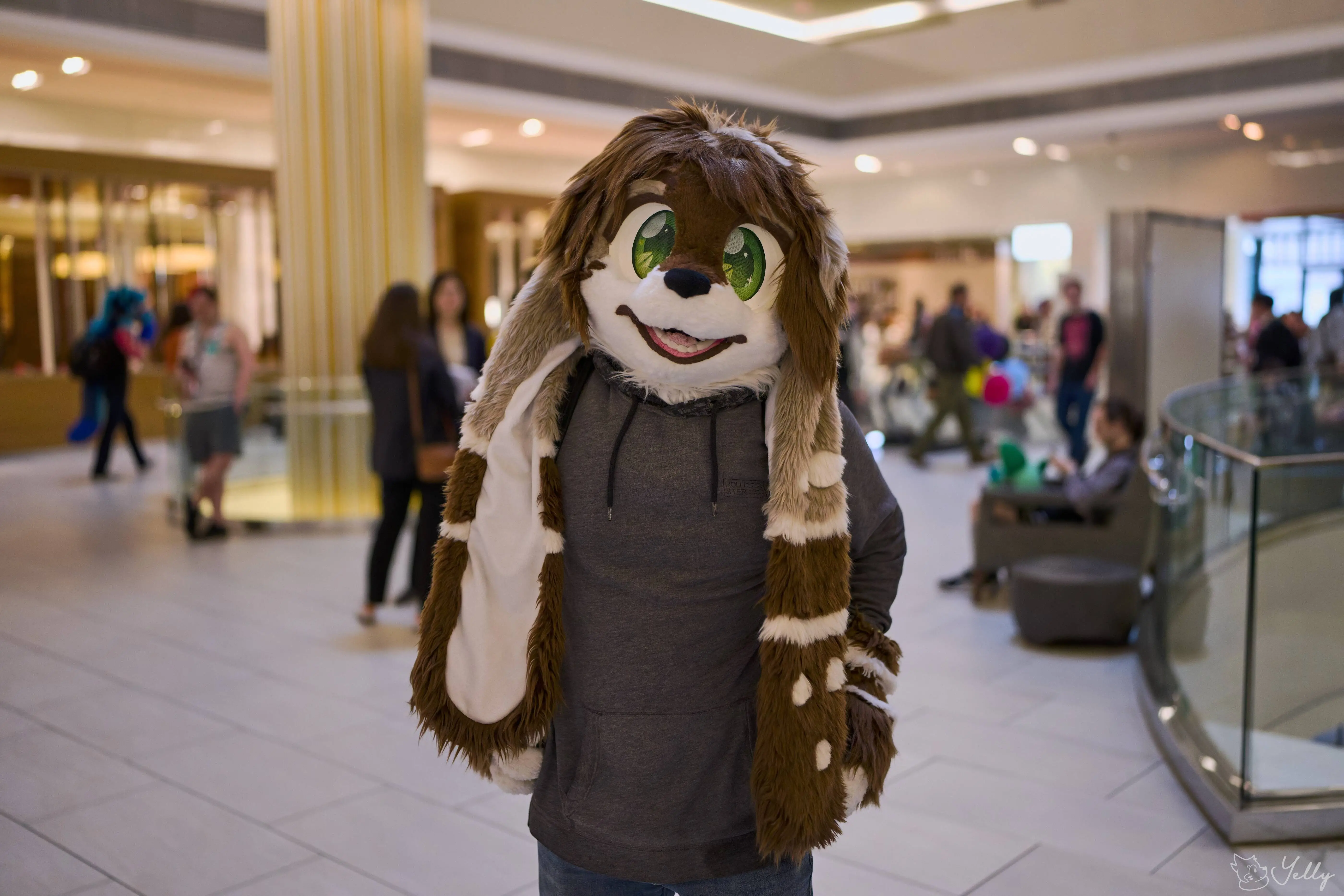 Furry Weekend Atlanta 2025