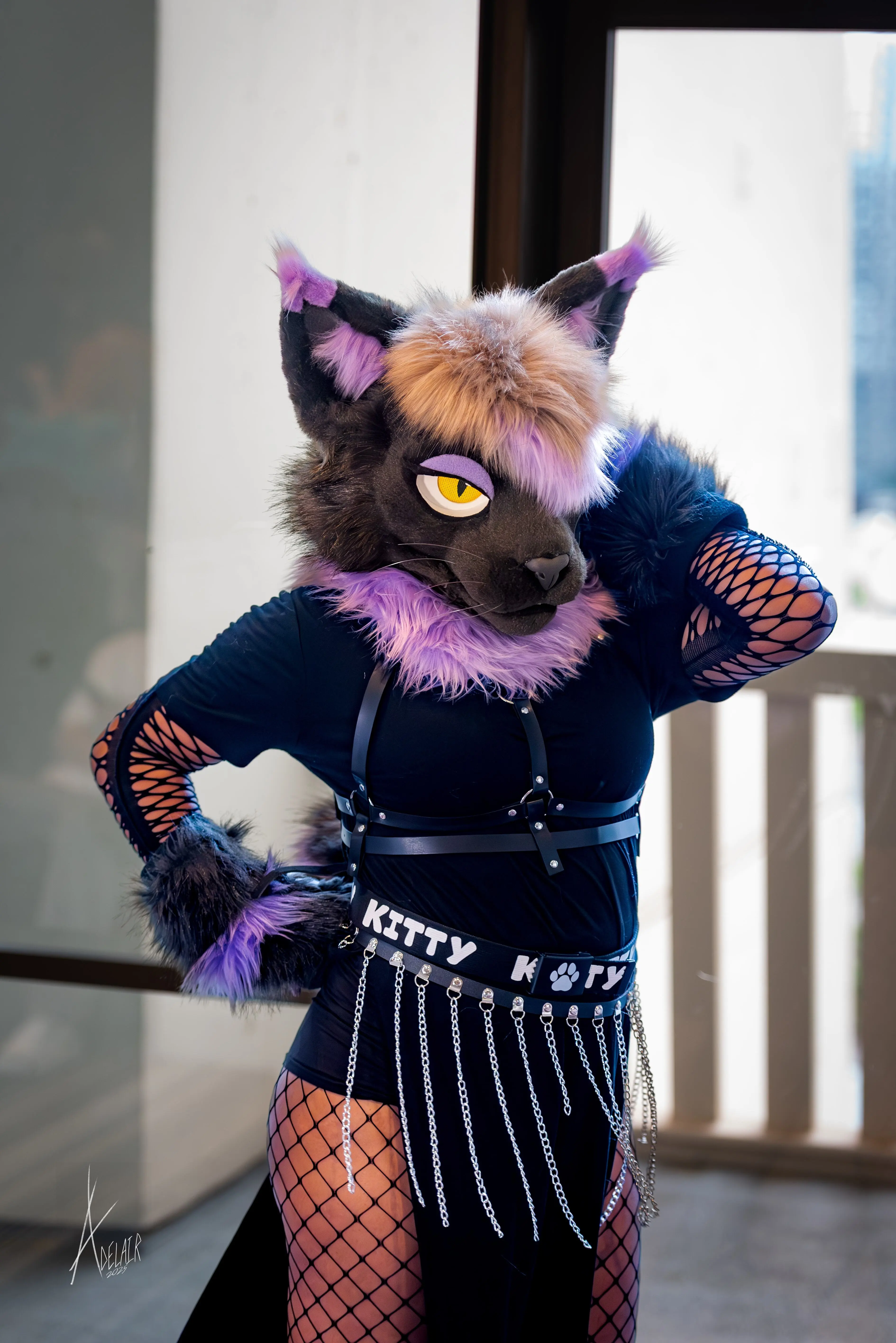 Furry Weekend Atlanta 2025