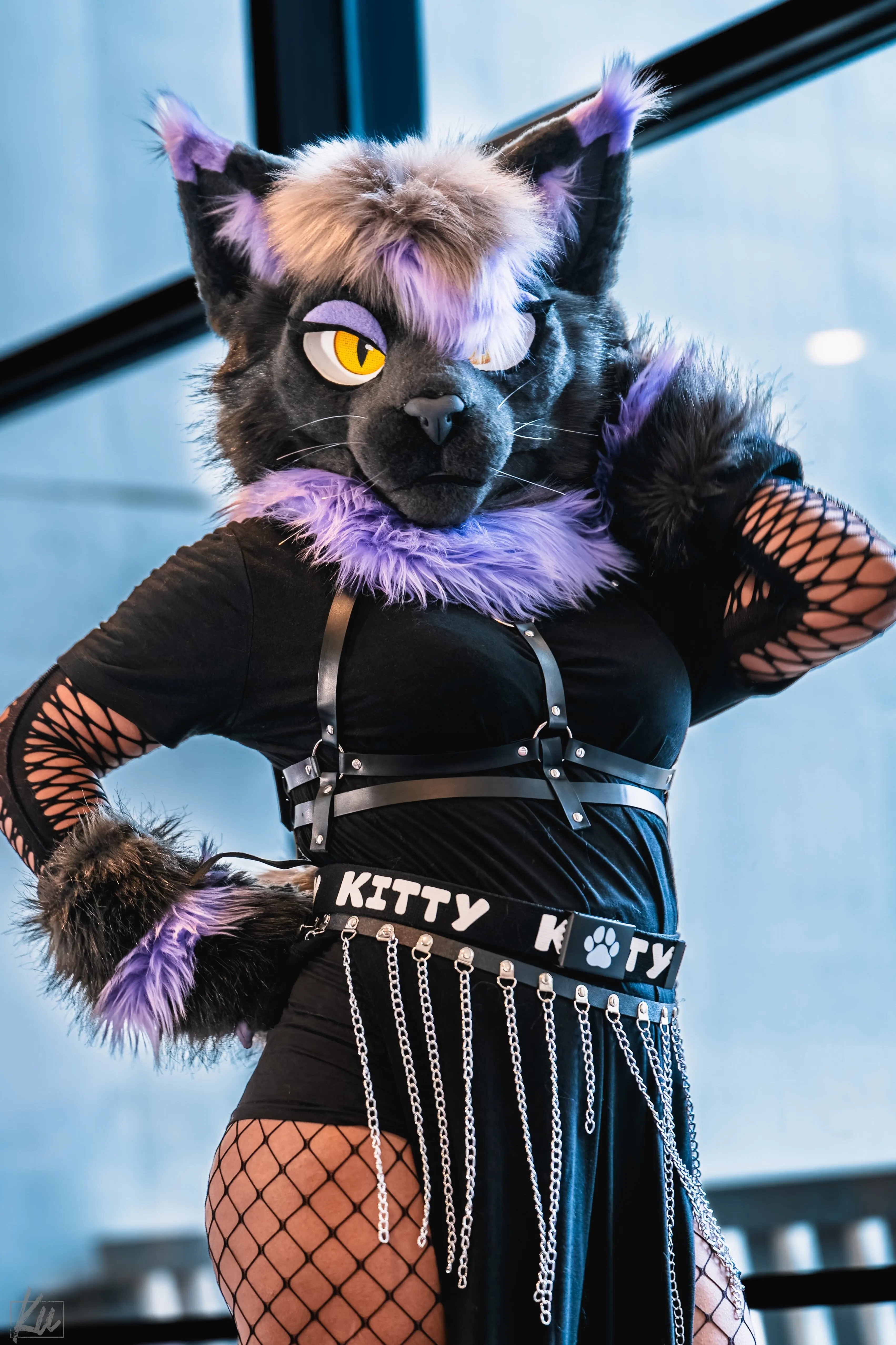 Furry Weekend Atlanta 2025