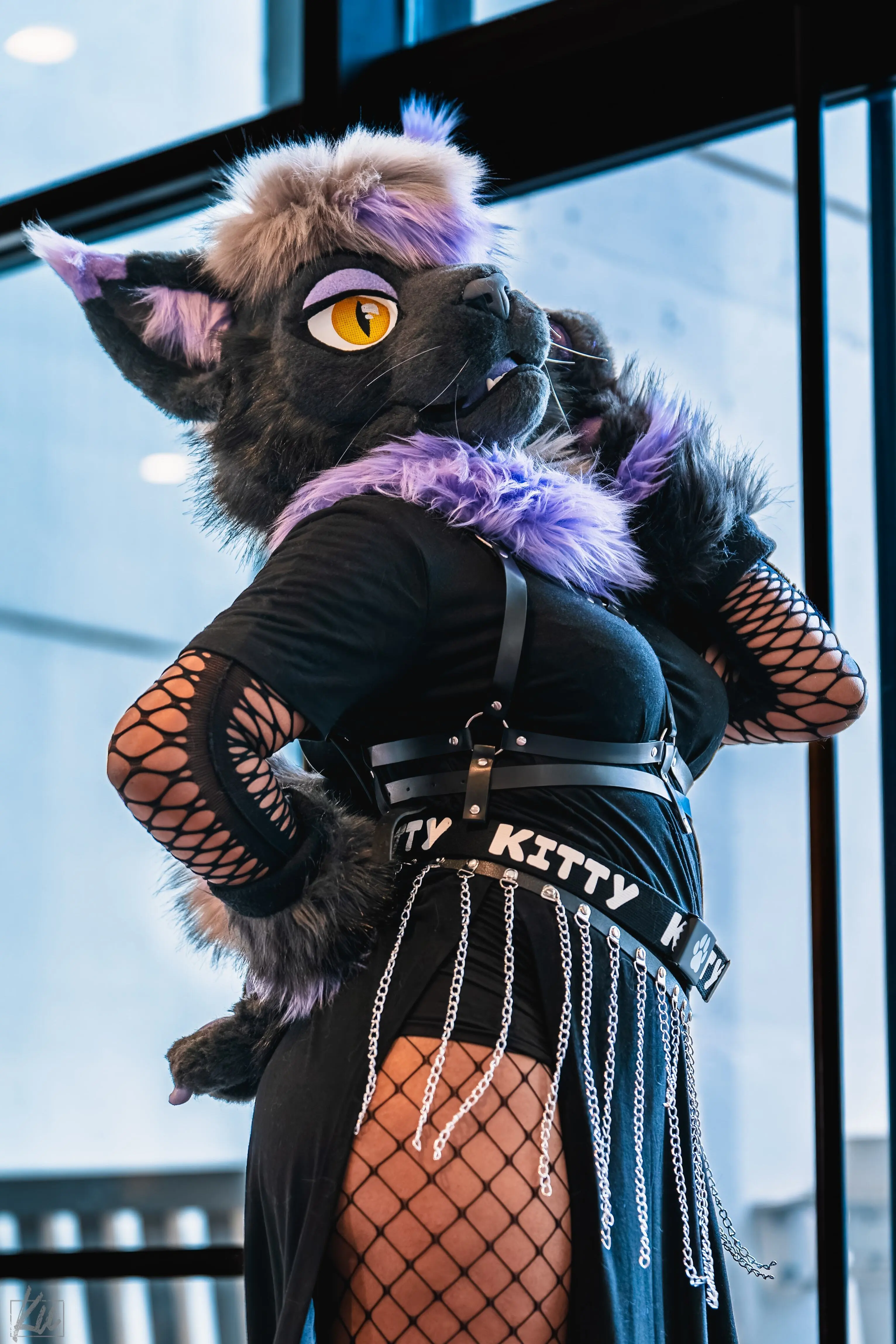 Furry Weekend Atlanta 2025