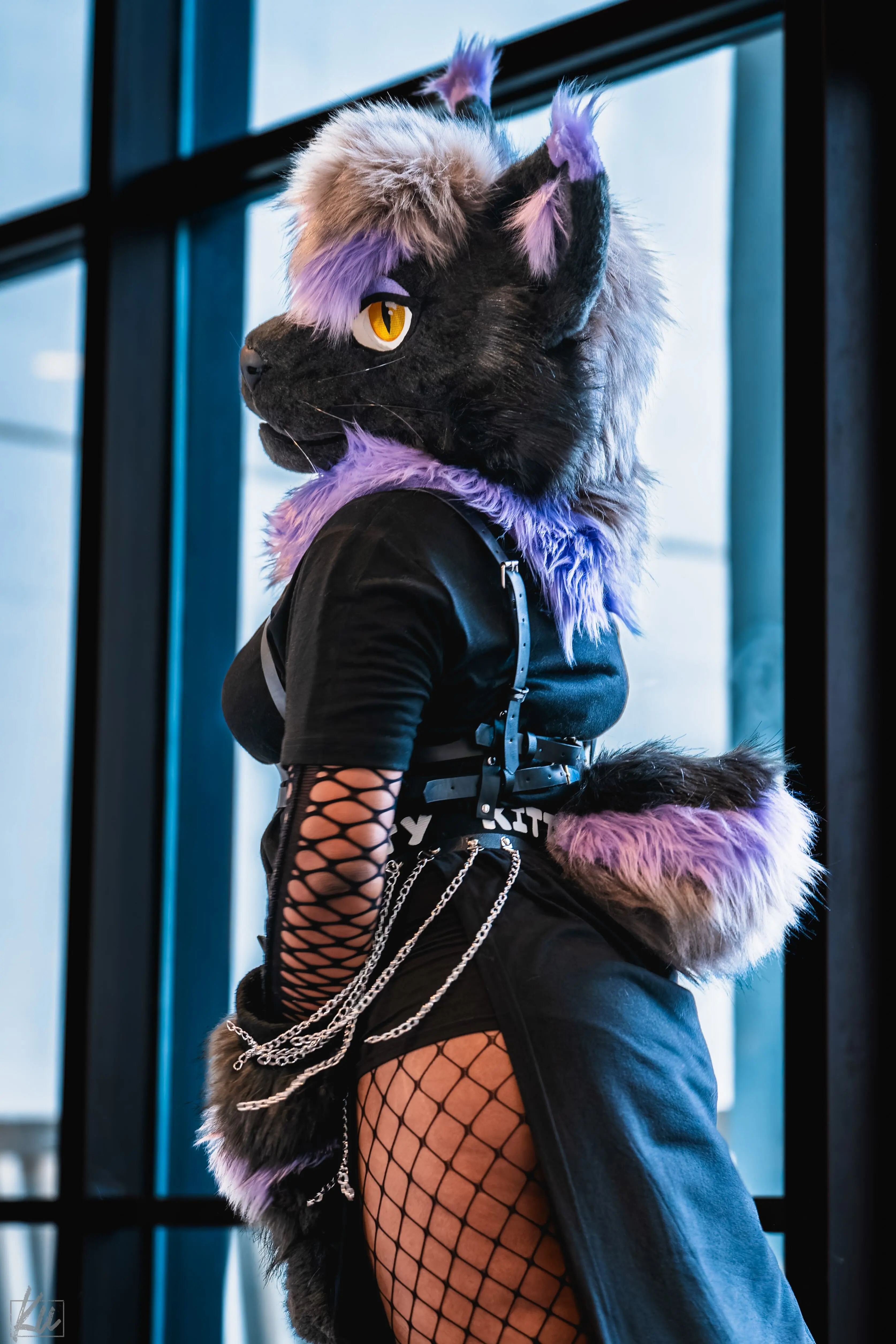 Furry Weekend Atlanta 2025