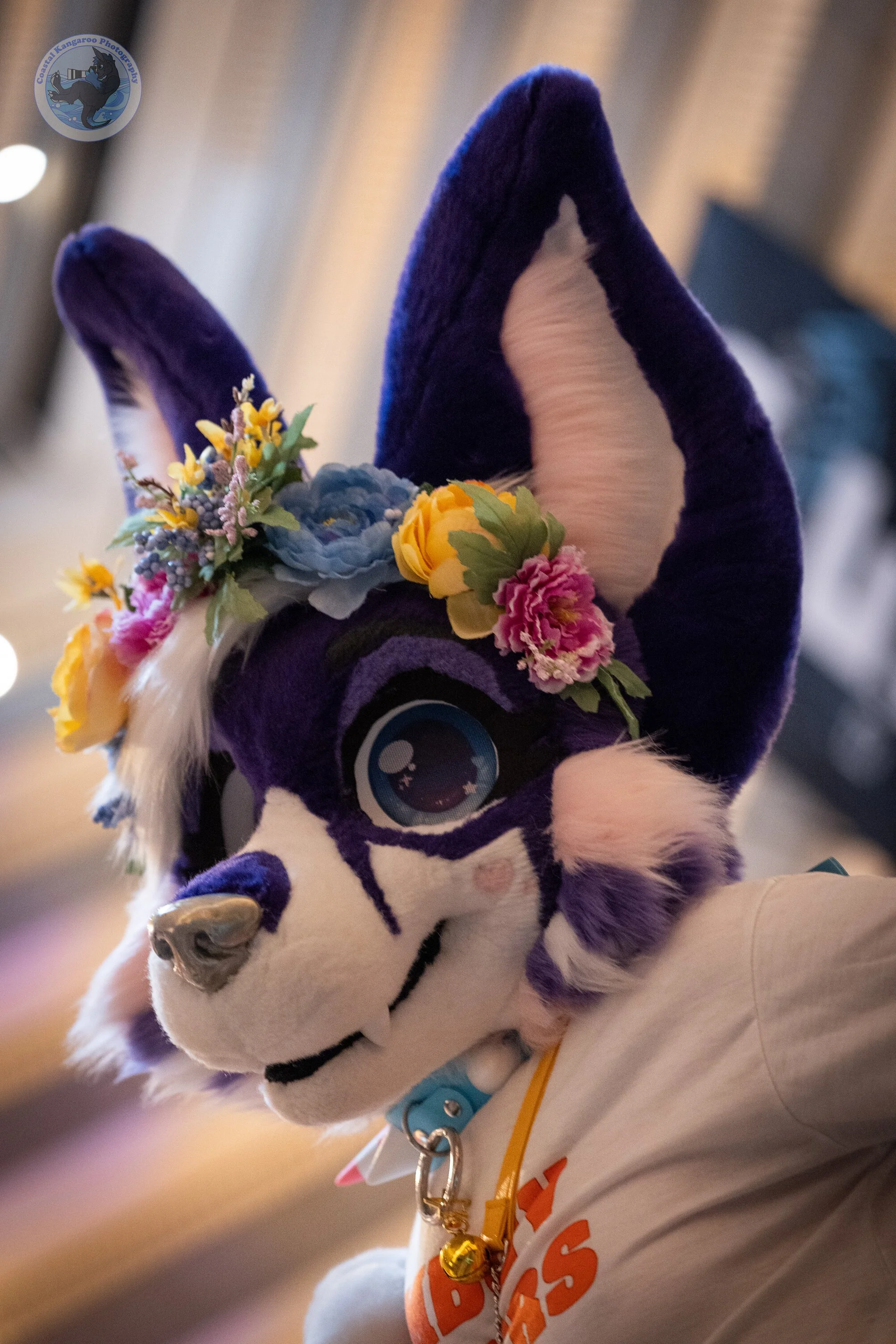 Furry Weekend Atlanta 2025