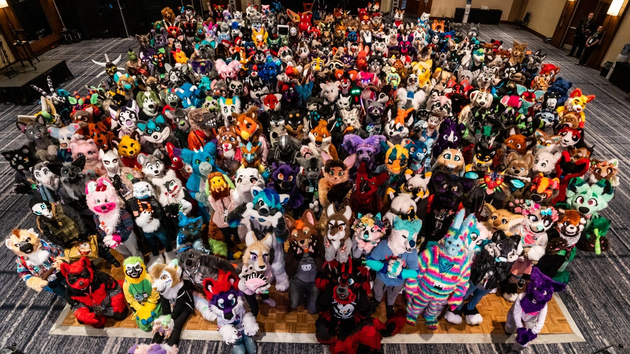 FurTheMore (March 2020)