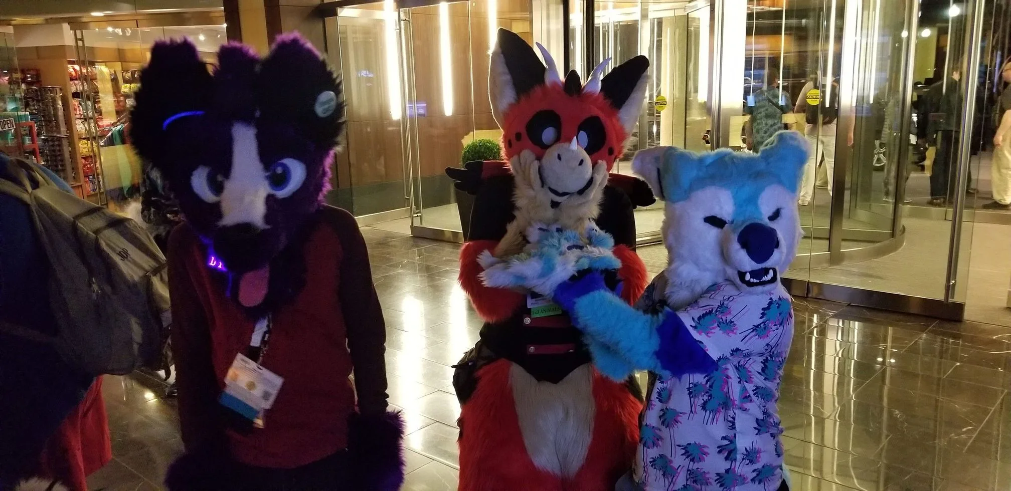 FurTheMore (March 2020)