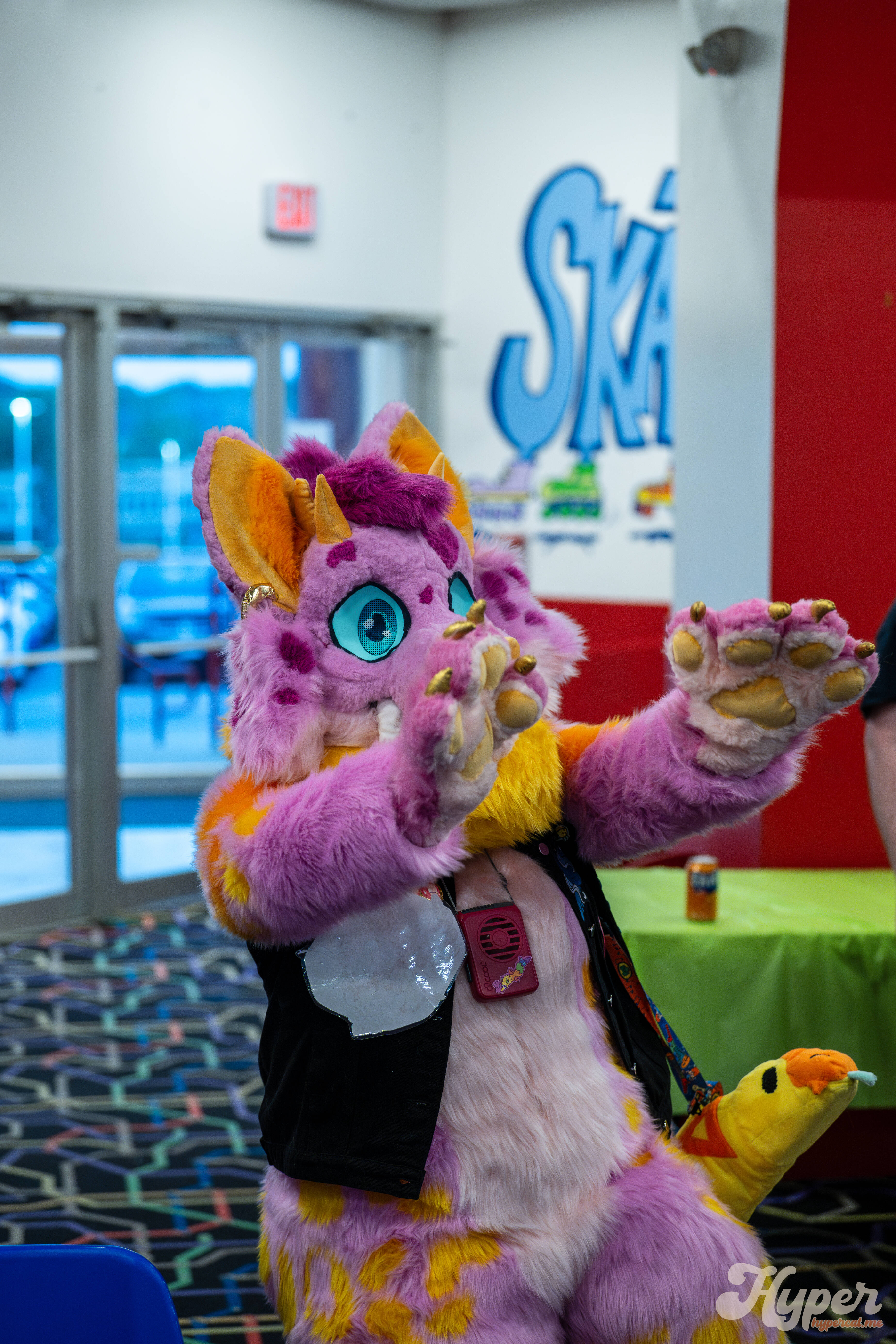 MDFurs Furskate (May 2025)
